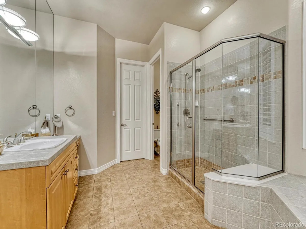 4537 Silver Dale Court Castle Rock CO 80108 MLS #REC2995903 04262026001915 1200 29