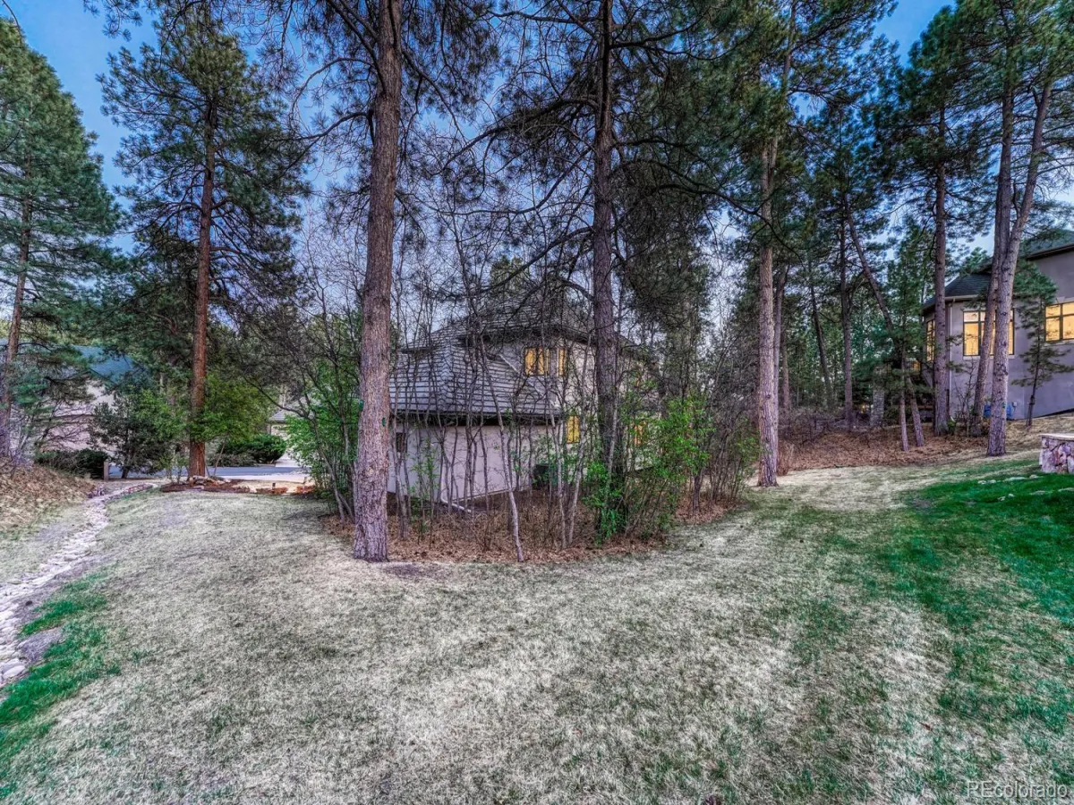 4537 Silver Dale Court Castle Rock CO 80108 MLS #REC2995903 04262026001915 1200 44