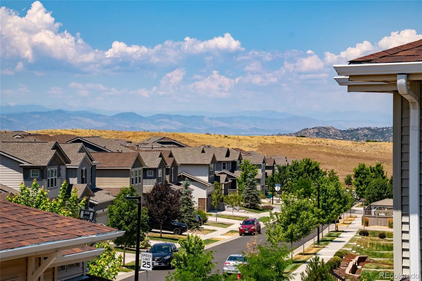 3141 Hardin Street Castle Rock CO 80109 | MLS #REC2998713 08032026224837 1600 18