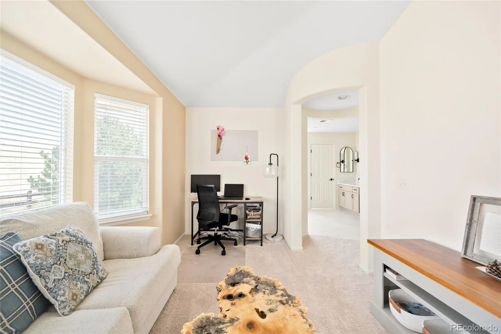 15999 E Summit Fox Avenue Parker CO 80134 MLS #REC2999989 08062026160031 1600 24