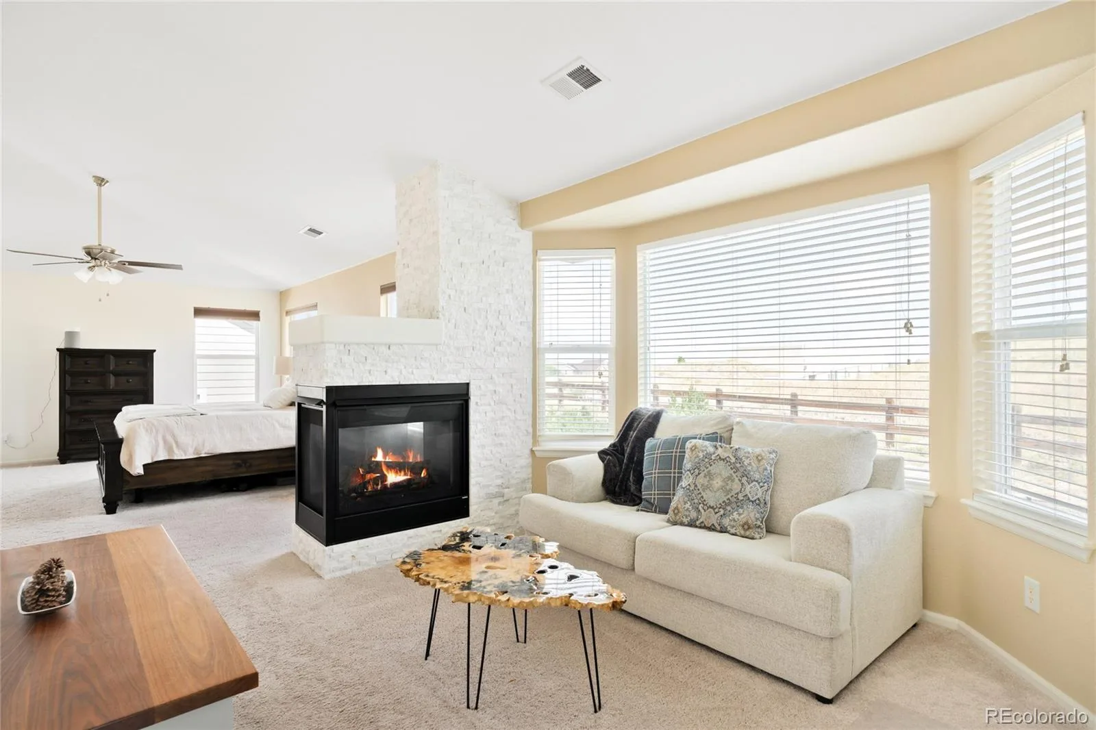 15999 E Summit Fox Avenue Parker CO 80134 MLS #REC2999989 08062026160031 1600 25