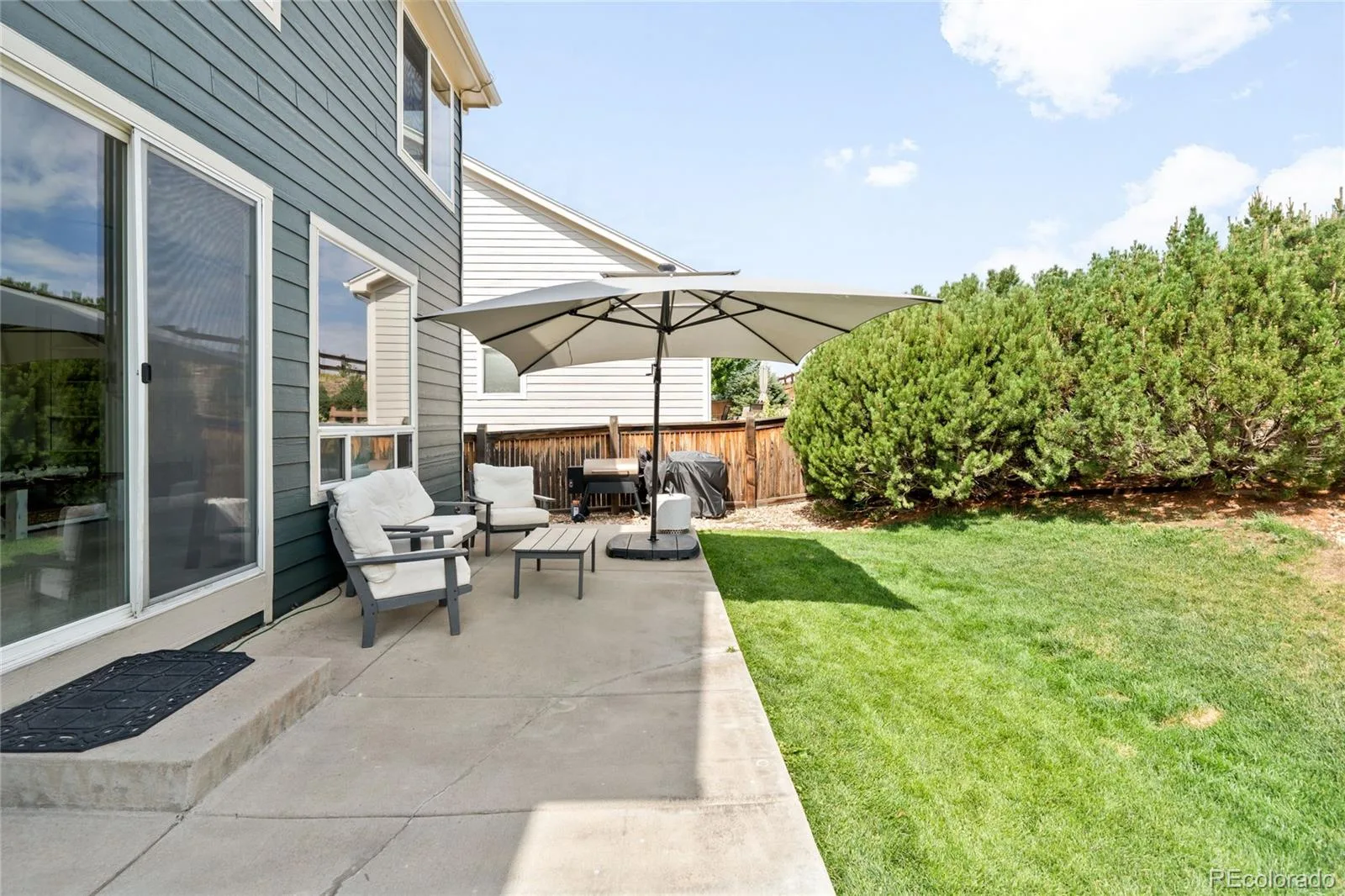 15999 E Summit Fox Avenue Parker CO 80134 MLS #REC2999989 08062026160031 1600 46