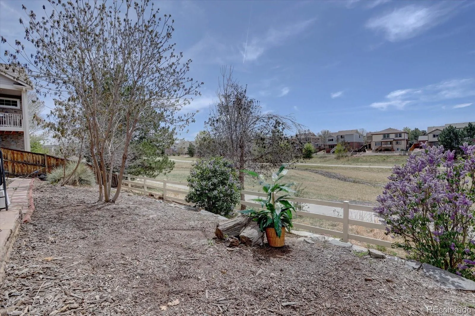 20436 E Flora Drive Aurora CO 80013 MLS #REC3010131 04232026012118 1600 41