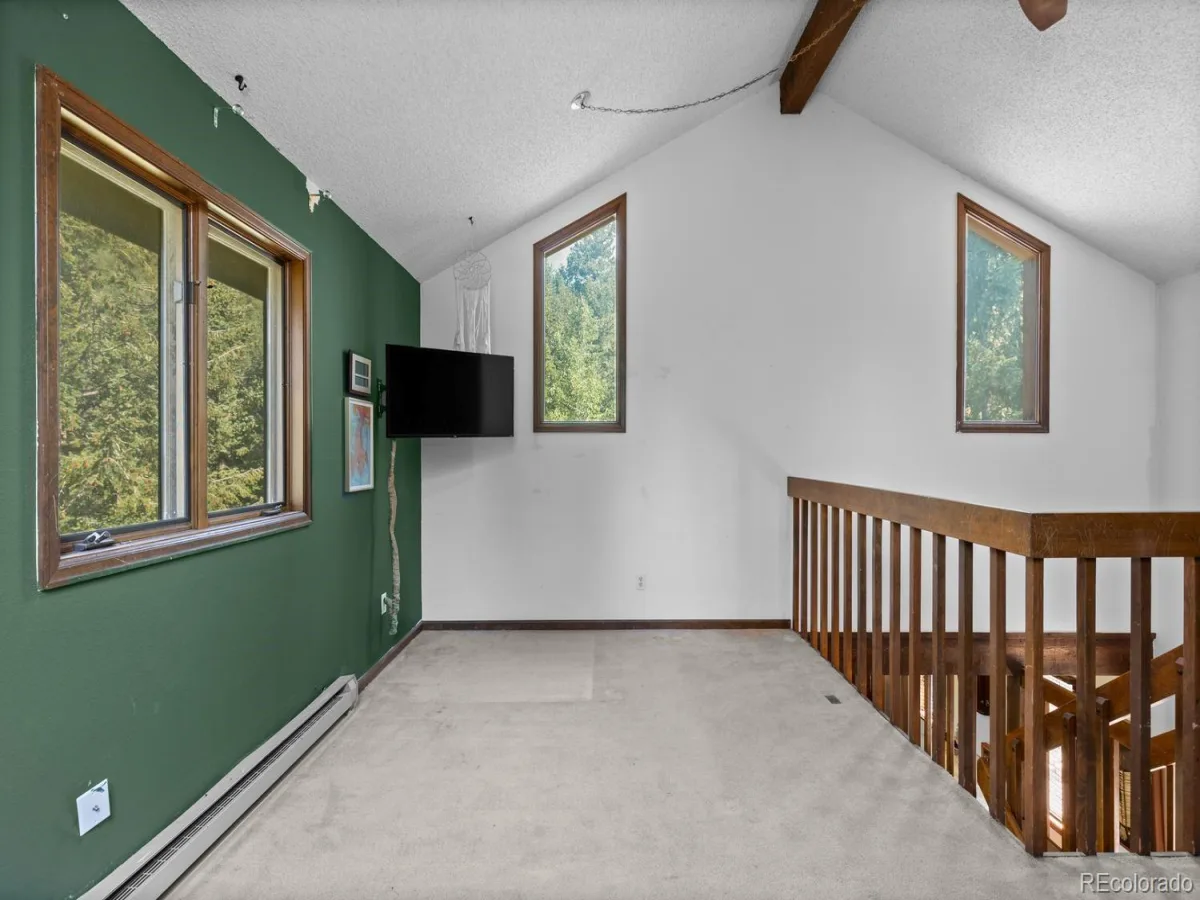 32638 Little Cub Road Evergreen CO 80439 | MLS #REC3017987 07022026161431 1200 28