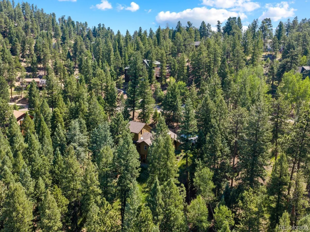 32638 Little Cub Road Evergreen CO 80439 | MLS #REC3017987 07022026161431 1200 35