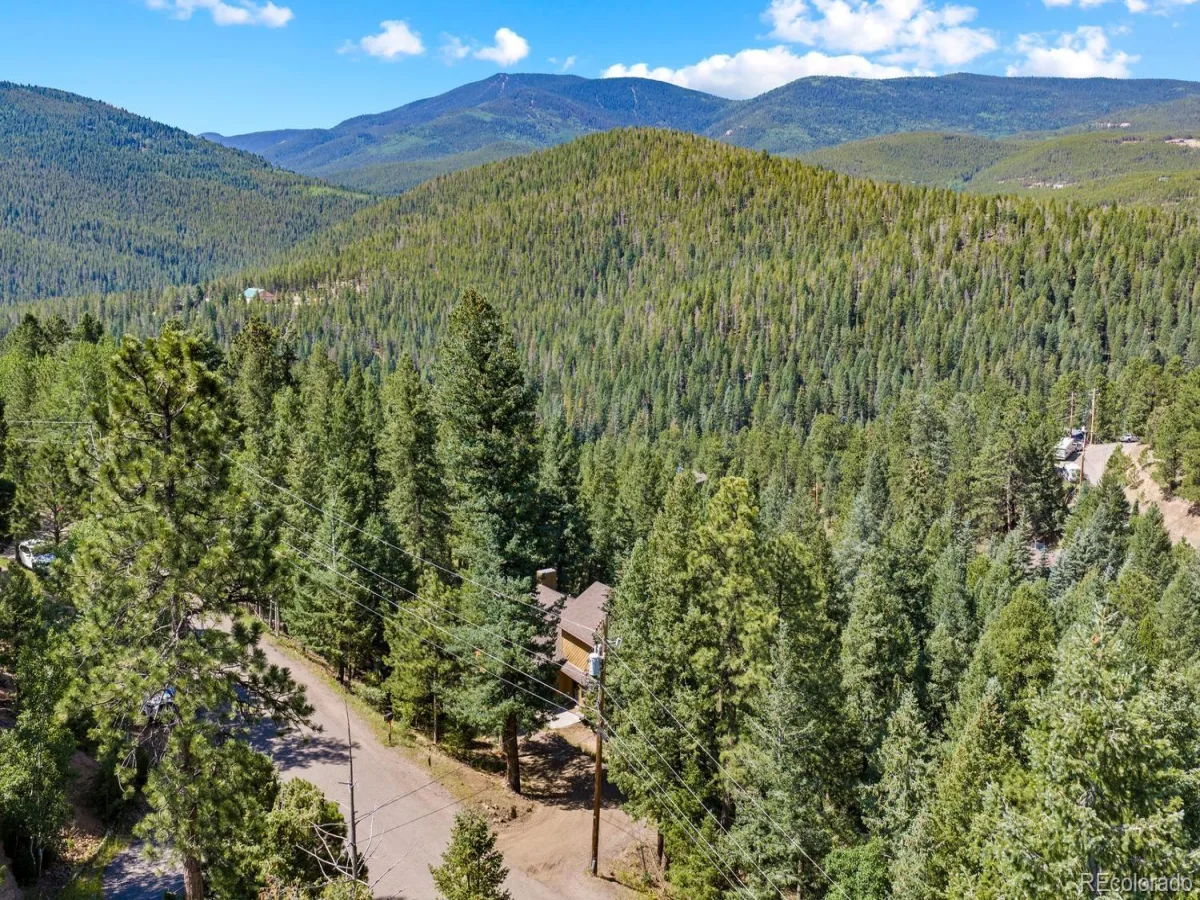 32638 Little Cub Road Evergreen CO 80439 | MLS #REC3017987 07022026161431 1200 37