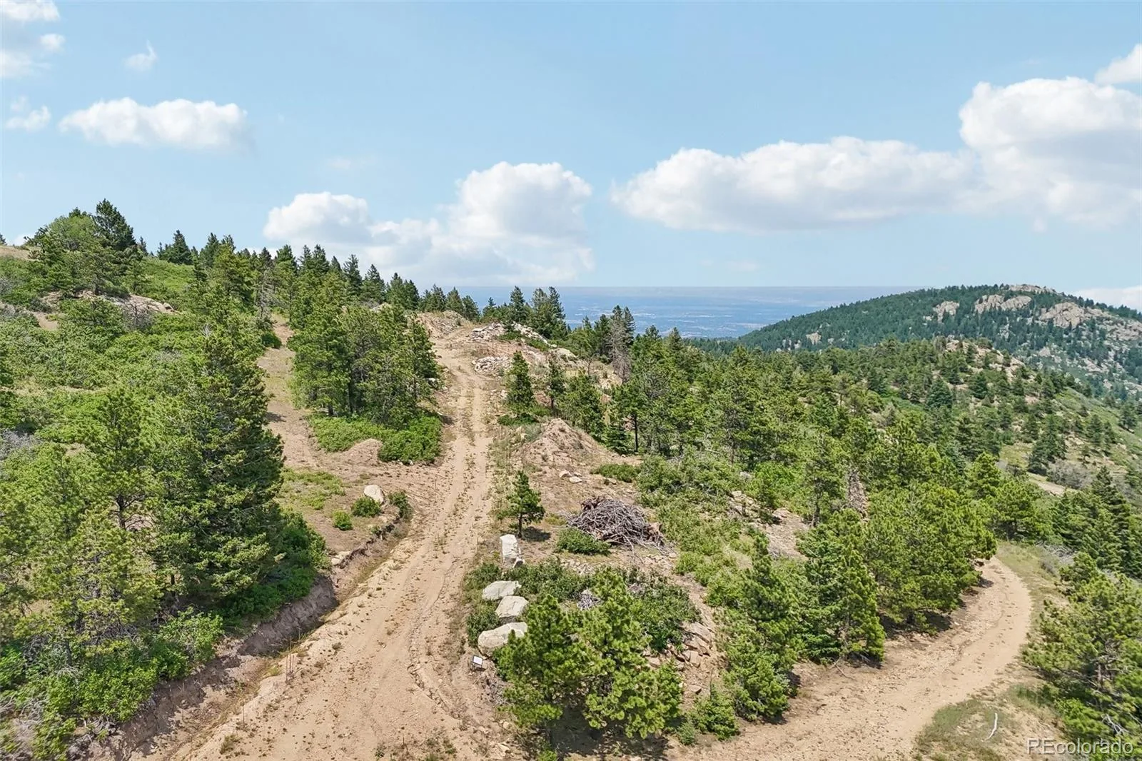 11917 Flat Top Trail Littleton CO 80127 | MLS #REC3021900 07032026161046 1600 1