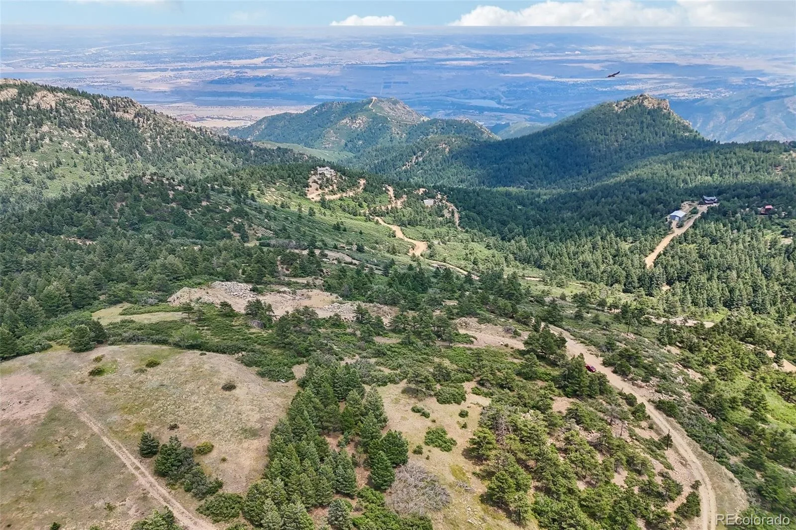 11917 Flat Top Trail Littleton CO 80127 | MLS #REC3021900 07032026161046 1600 12