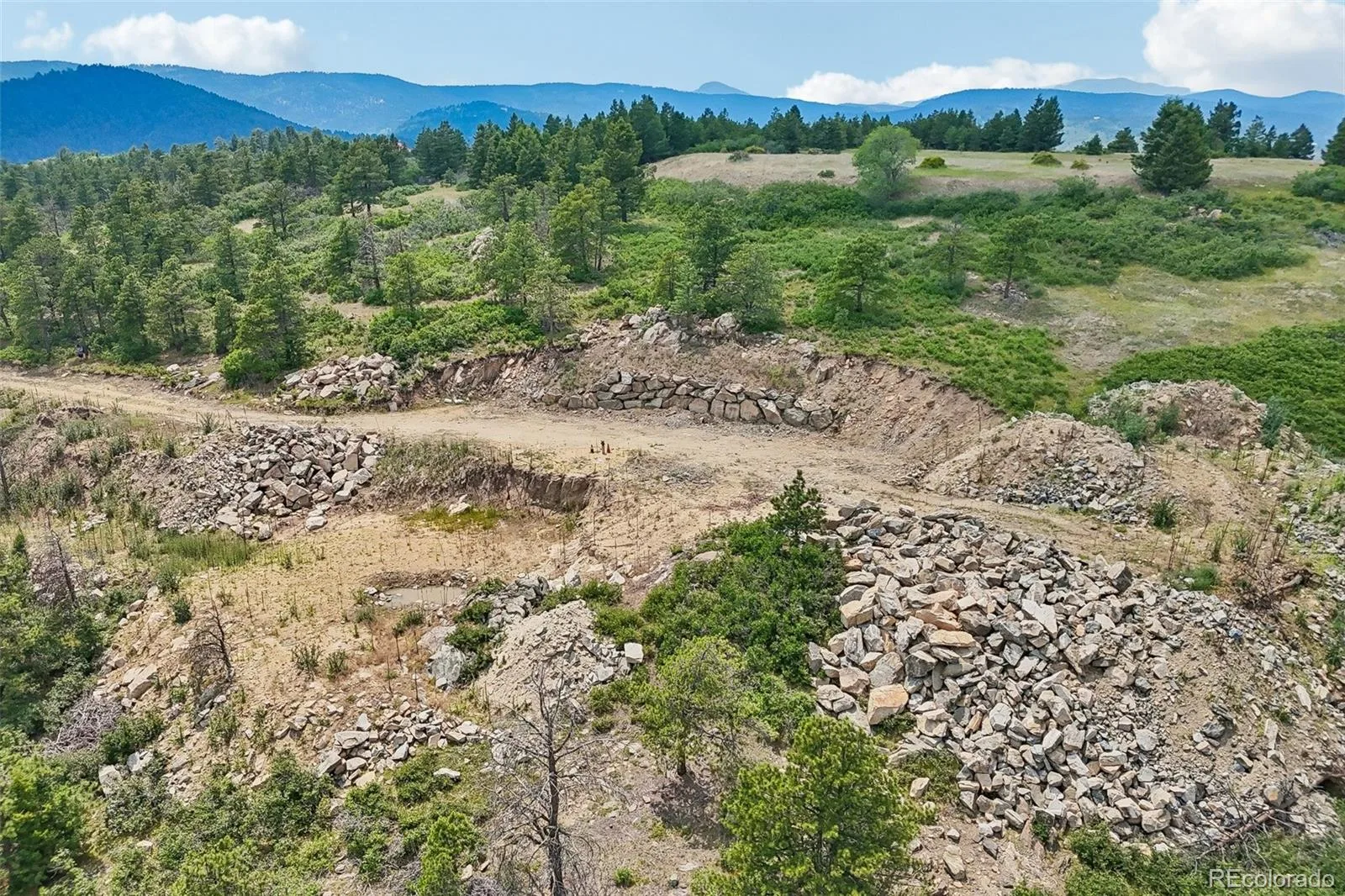 11917 Flat Top Trail Littleton CO 80127 | MLS #REC3021900 07032026161046 1600 24