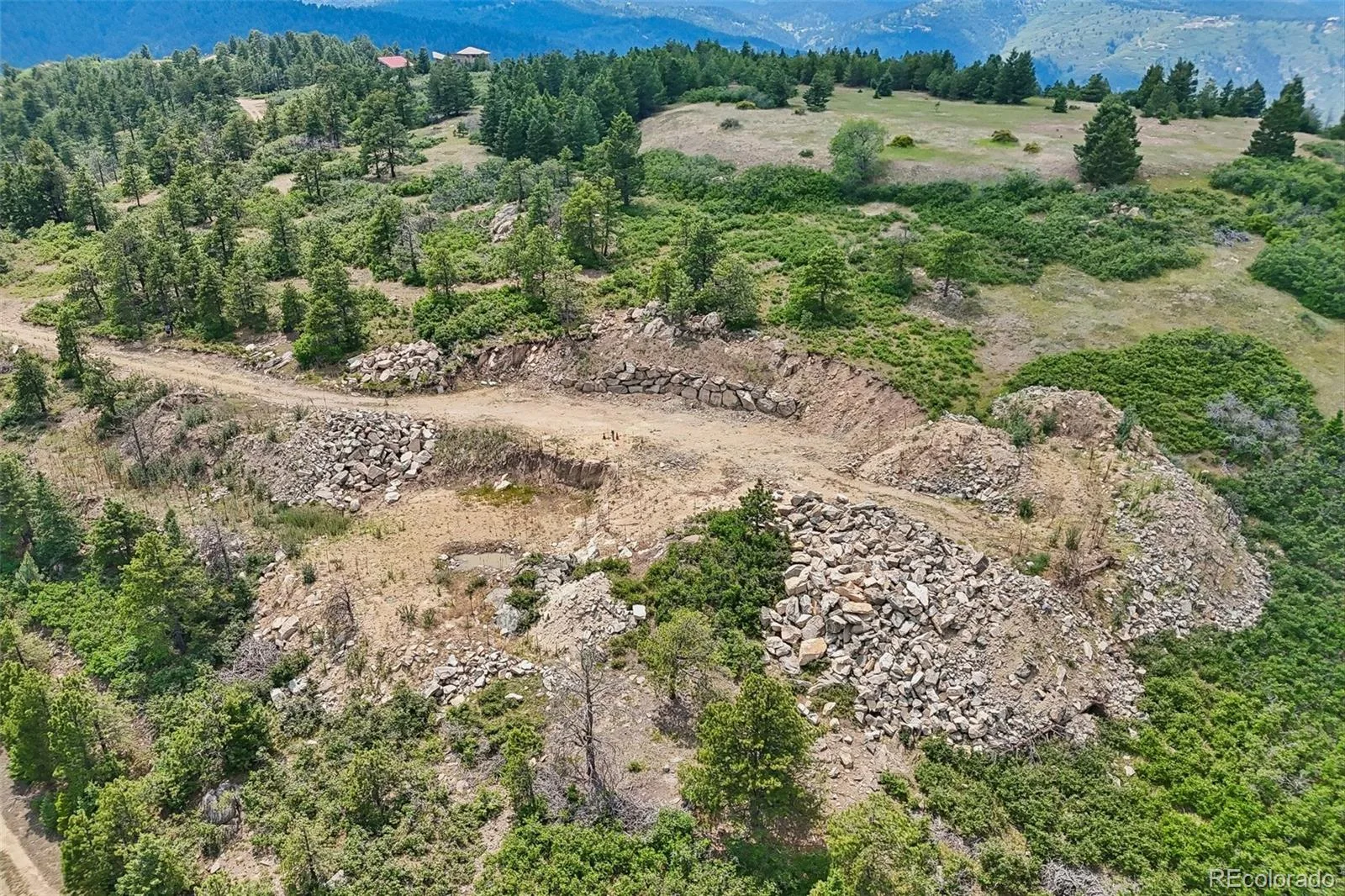 11917 Flat Top Trail Littleton CO 80127 | MLS #REC3021900 07032026161046 1600 25