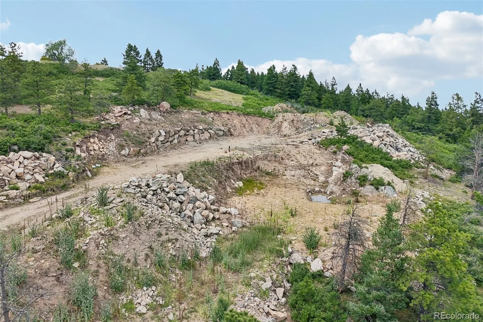 11917 Flat Top Trail Littleton CO 80127 | MLS #REC3021900 07032026161046 1600 31