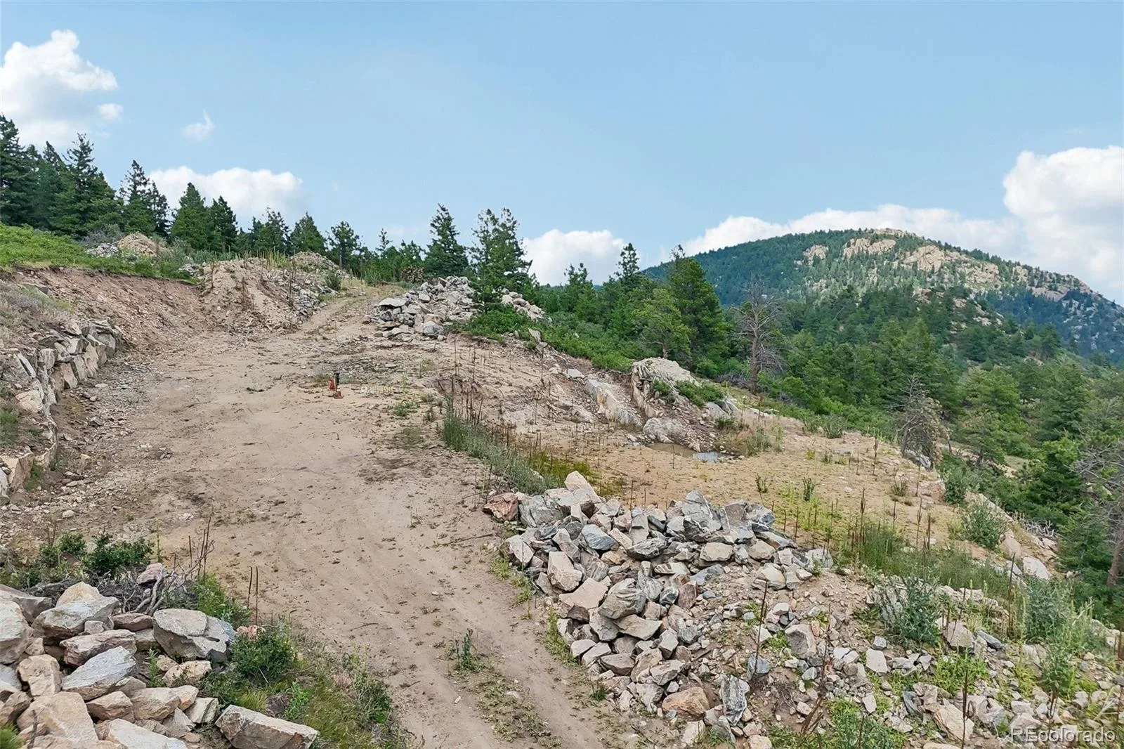 11917 Flat Top Trail Littleton CO 80127 | MLS #REC3021900 07032026161046 1600 32