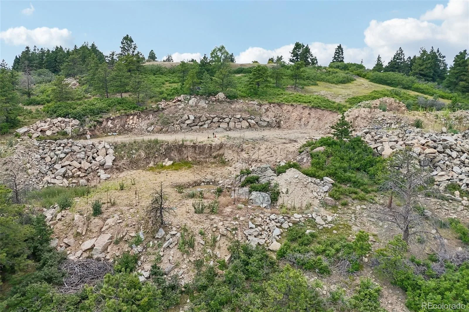 11917 Flat Top Trail Littleton CO 80127 | MLS #REC3021900 07032026161046 1600 33