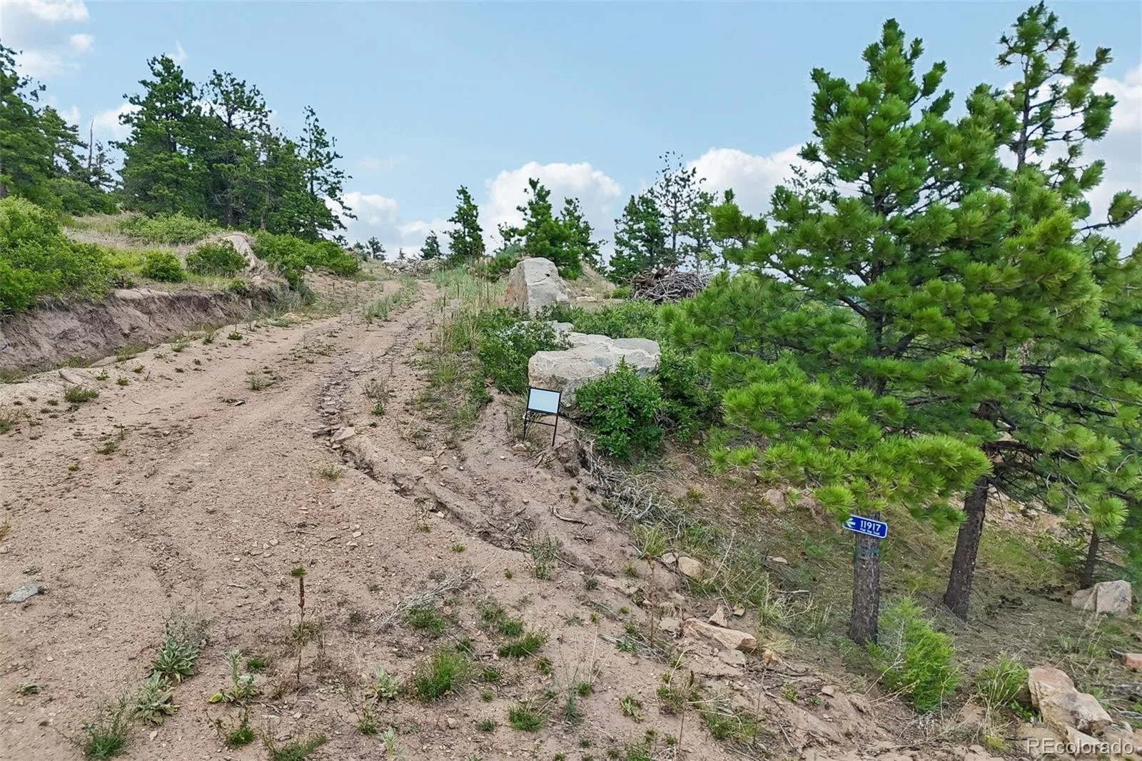11917 Flat Top Trail Littleton CO 80127 | MLS #REC3021900 07032026161046 1600 39