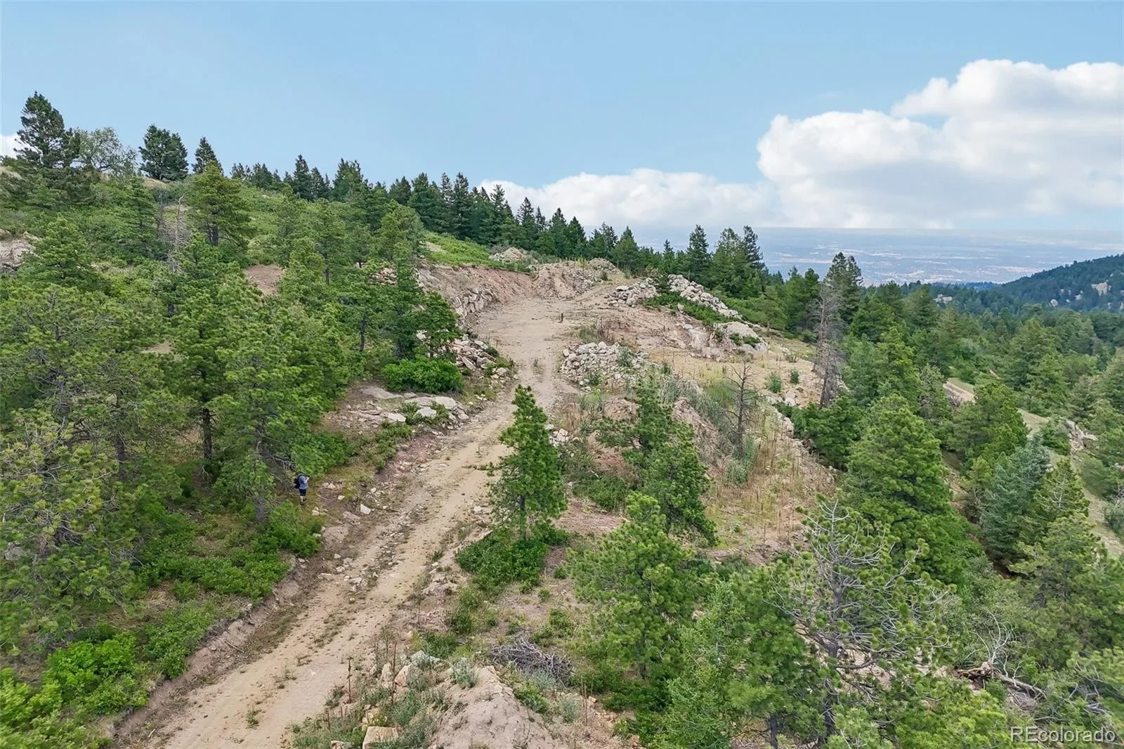 11917 Flat Top Trail Littleton CO 80127 | MLS #REC3021900 07032026161046 1600 40