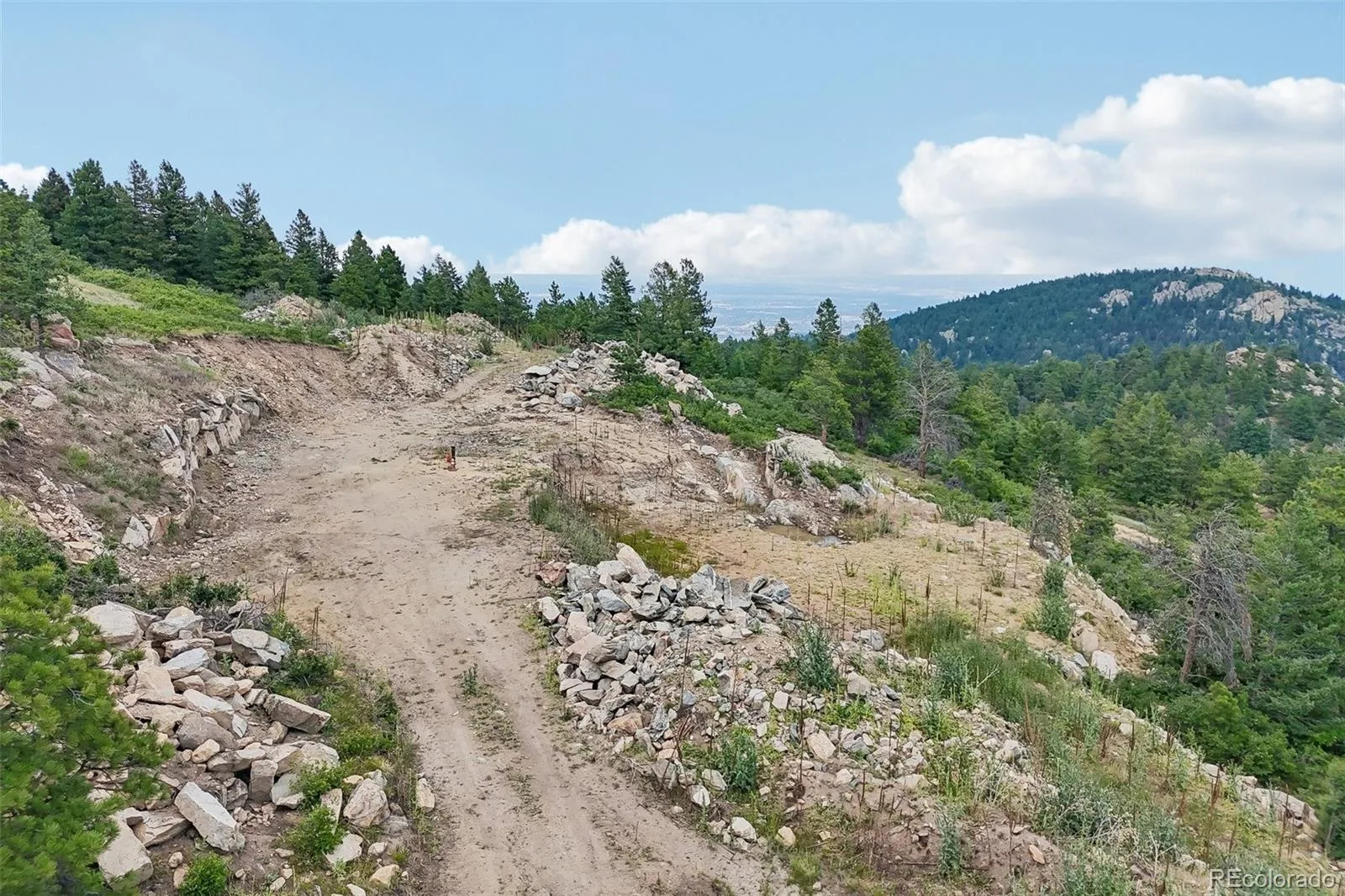 11917 Flat Top Trail Littleton CO 80127 | MLS #REC3021900 07032026161046 1600 41