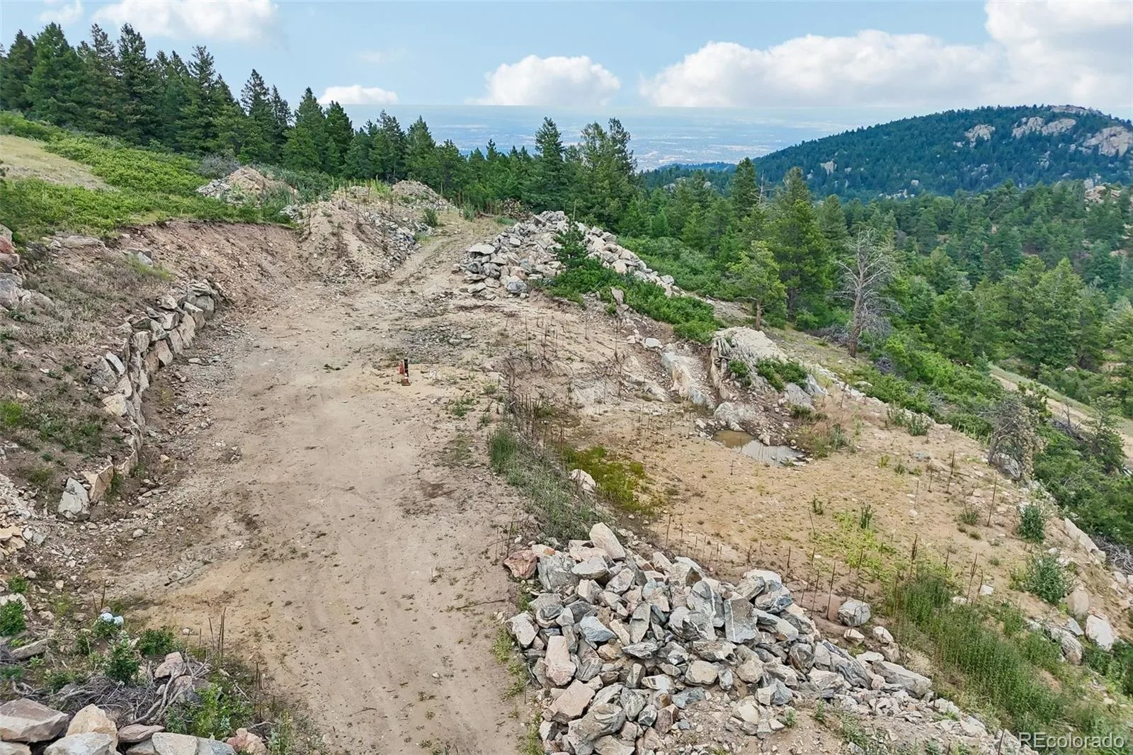 11917 Flat Top Trail Littleton CO 80127 | MLS #REC3021900 07032026161046 1600 42
