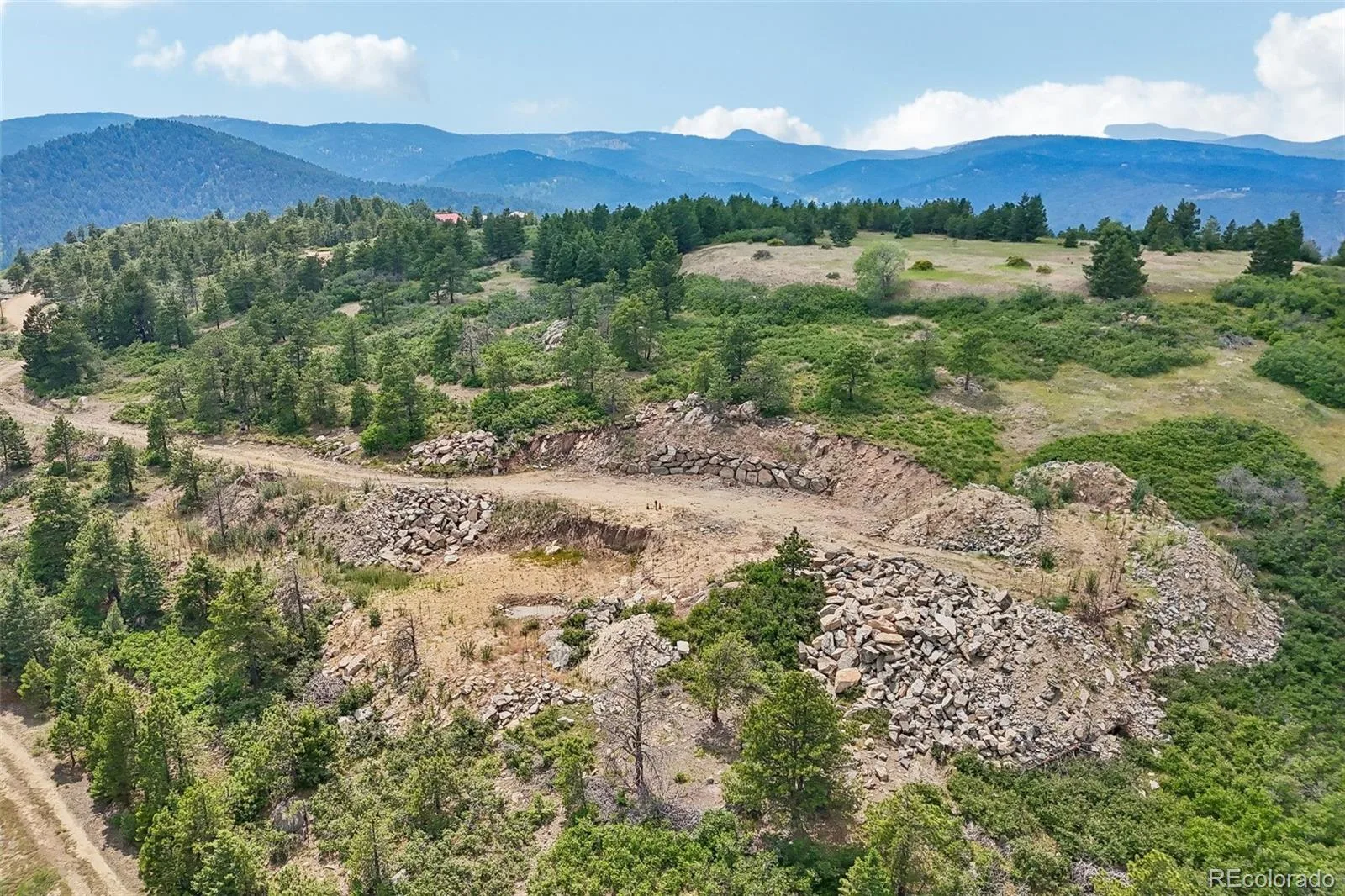 11917 Flat Top Trail Littleton CO 80127 | MLS #REC3021900 07032026161046 1600 44