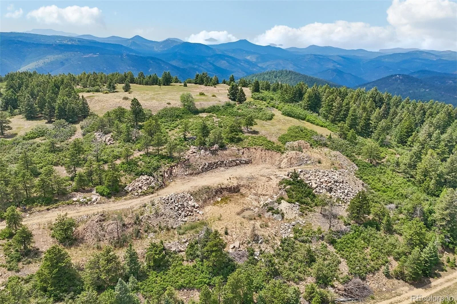 11917 Flat Top Trail Littleton CO 80127 | MLS #REC3021900 07032026161046 1600 48
