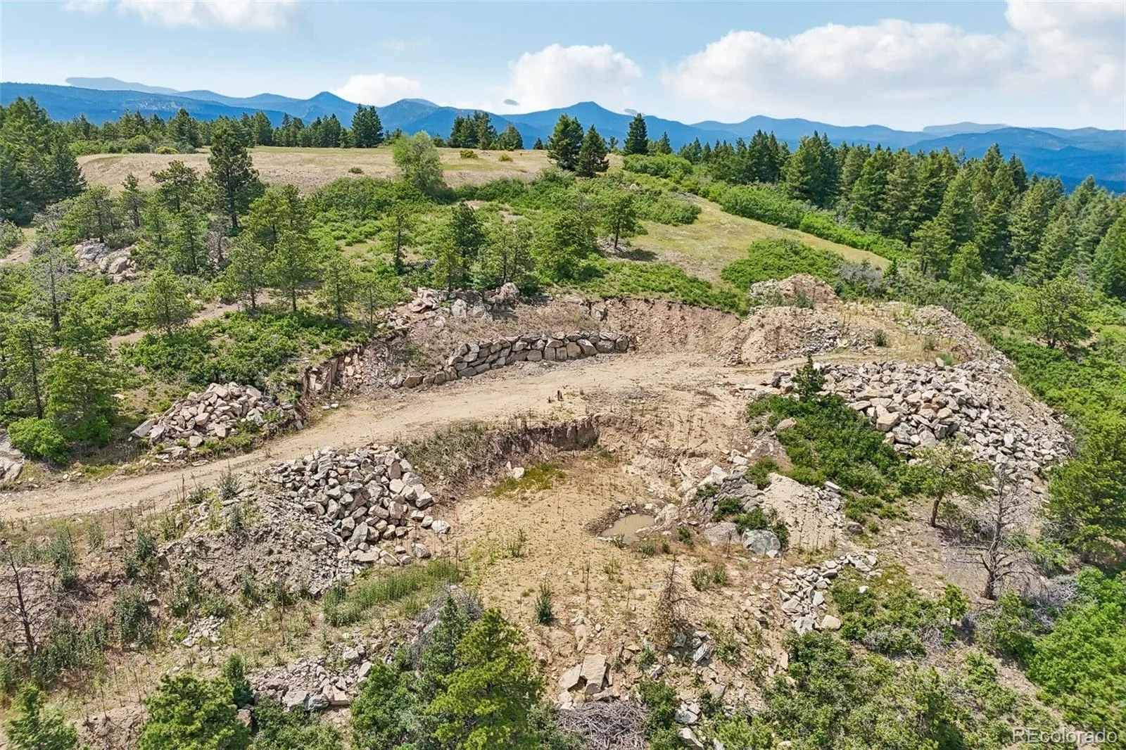 11917 Flat Top Trail Littleton CO 80127 | MLS #REC3021900 07032026161046 1600 49