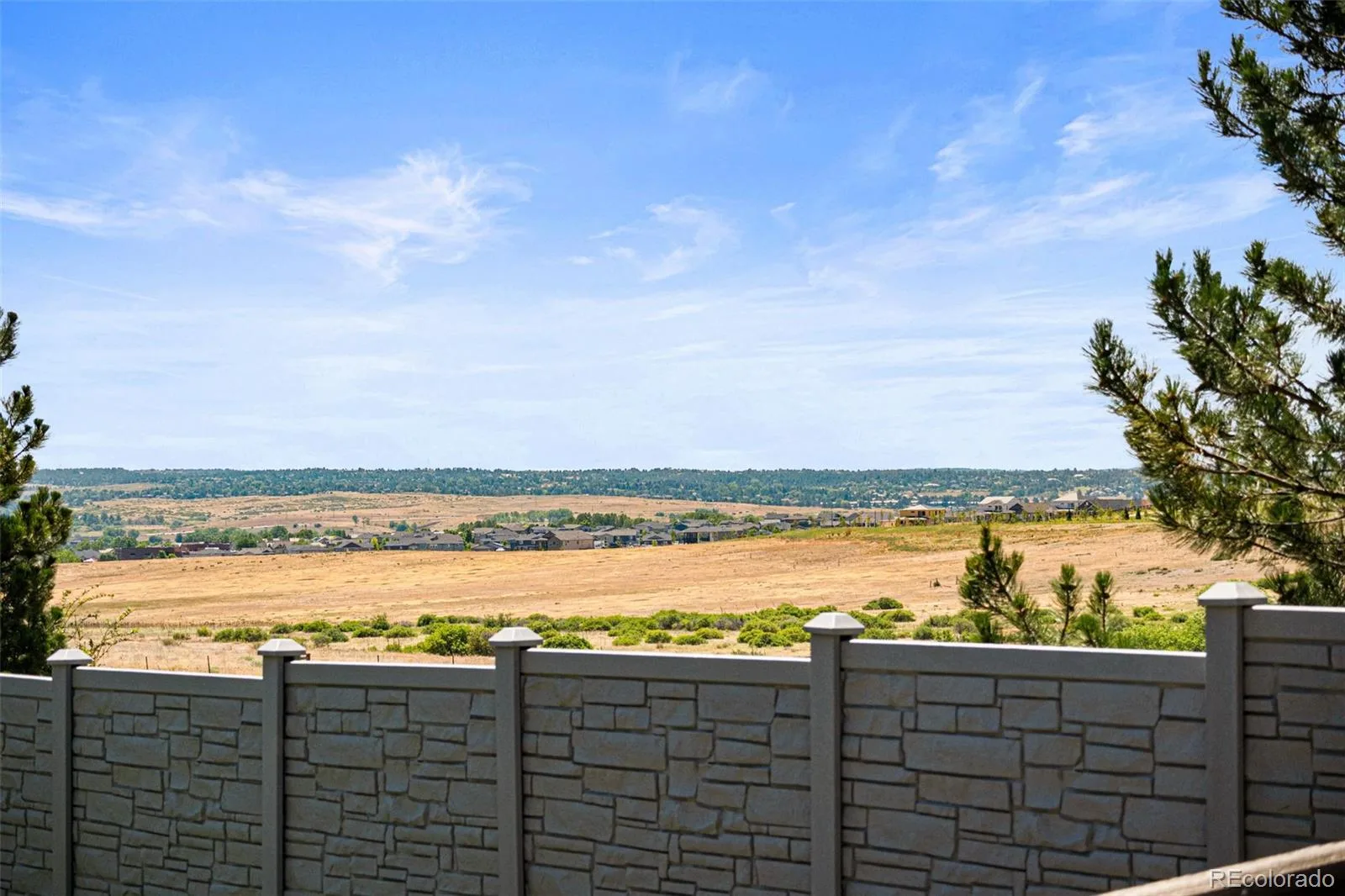 16534 E Fire Fly Avenue Parker CO 80134 MLS #REC3023944 07262026152431 1600 48