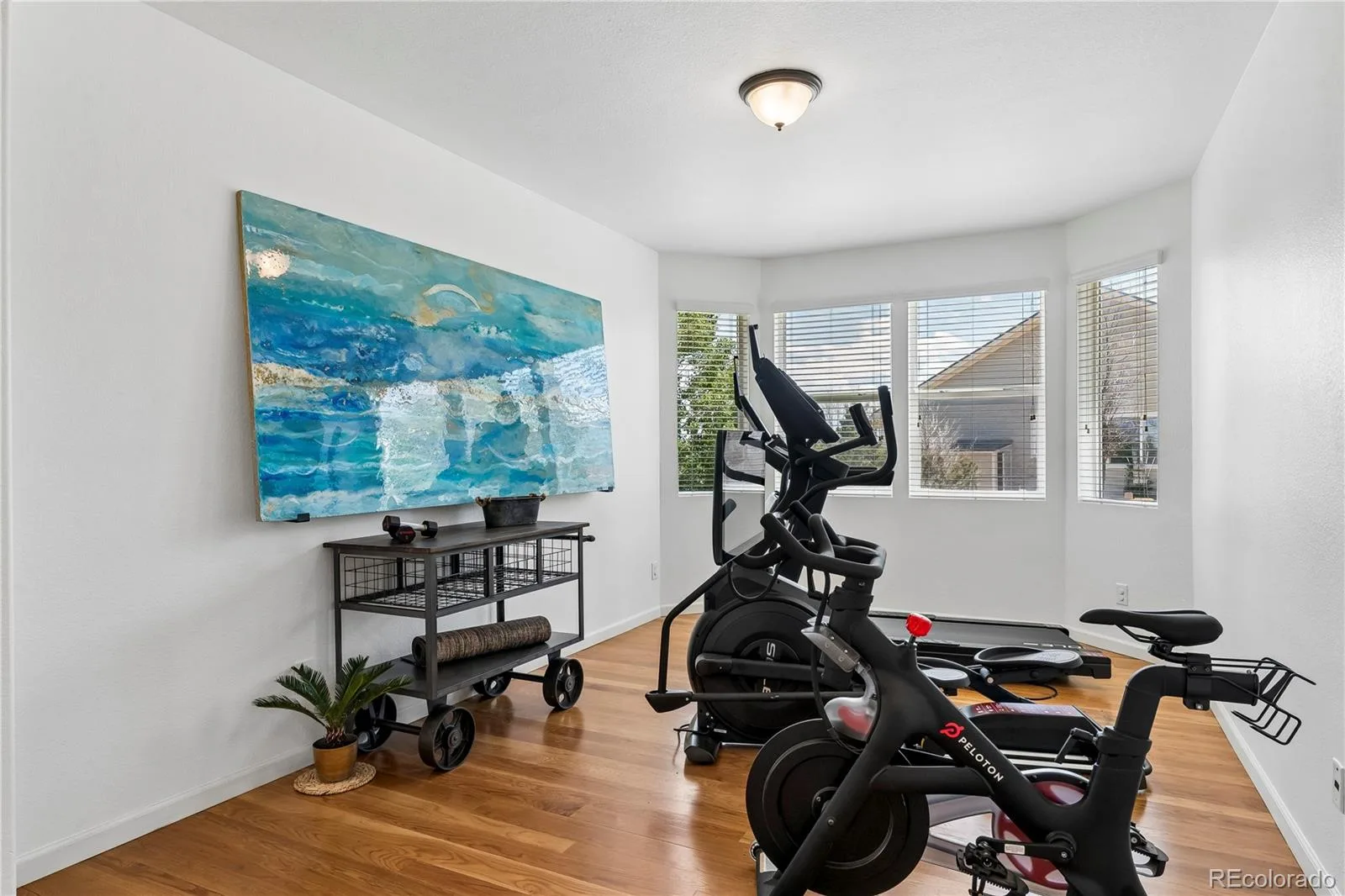 784 Ellsworth Court Castle Rock CO 80104 | MLS #REC3026714 06222026184605 1600 10