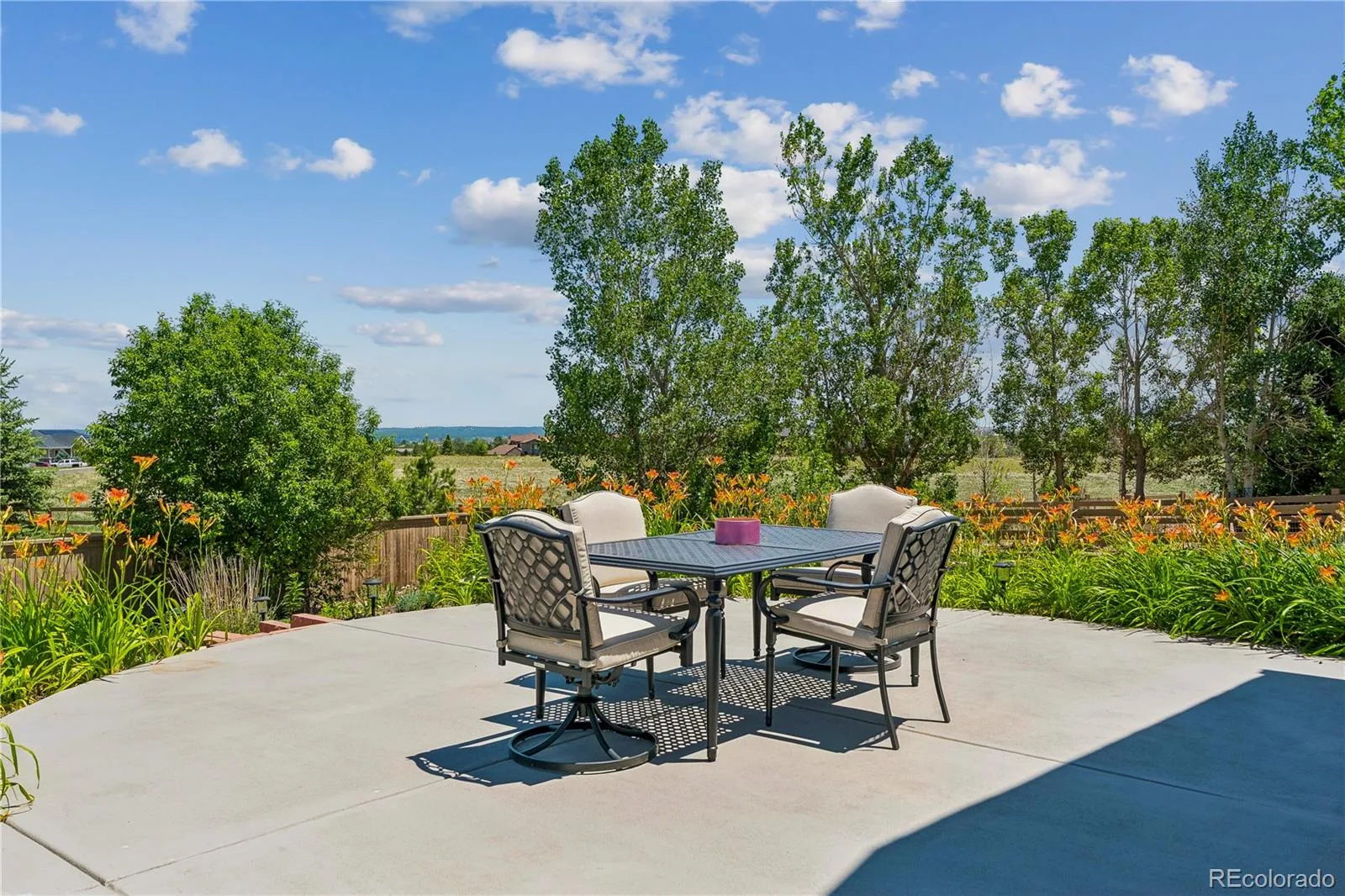 784 Ellsworth Court Castle Rock CO 80104 | MLS #REC3026714 06222026184605 1600 29