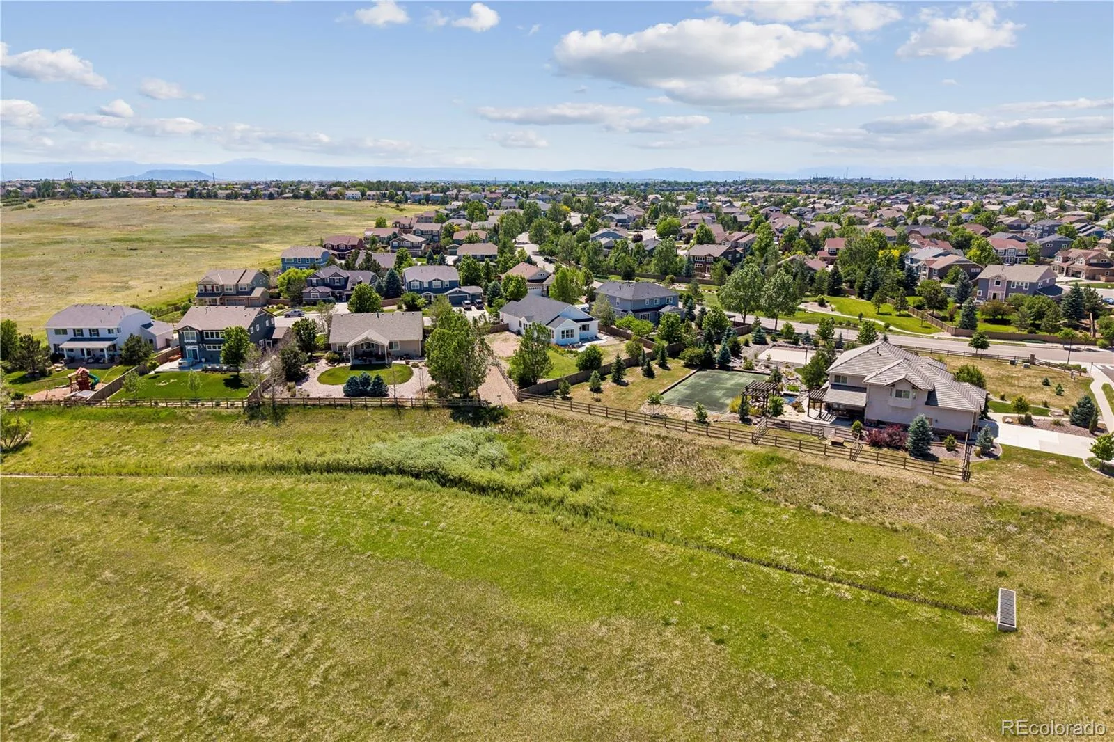 784 Ellsworth Court Castle Rock CO 80104 | MLS #REC3026714 06222026184605 1600 35