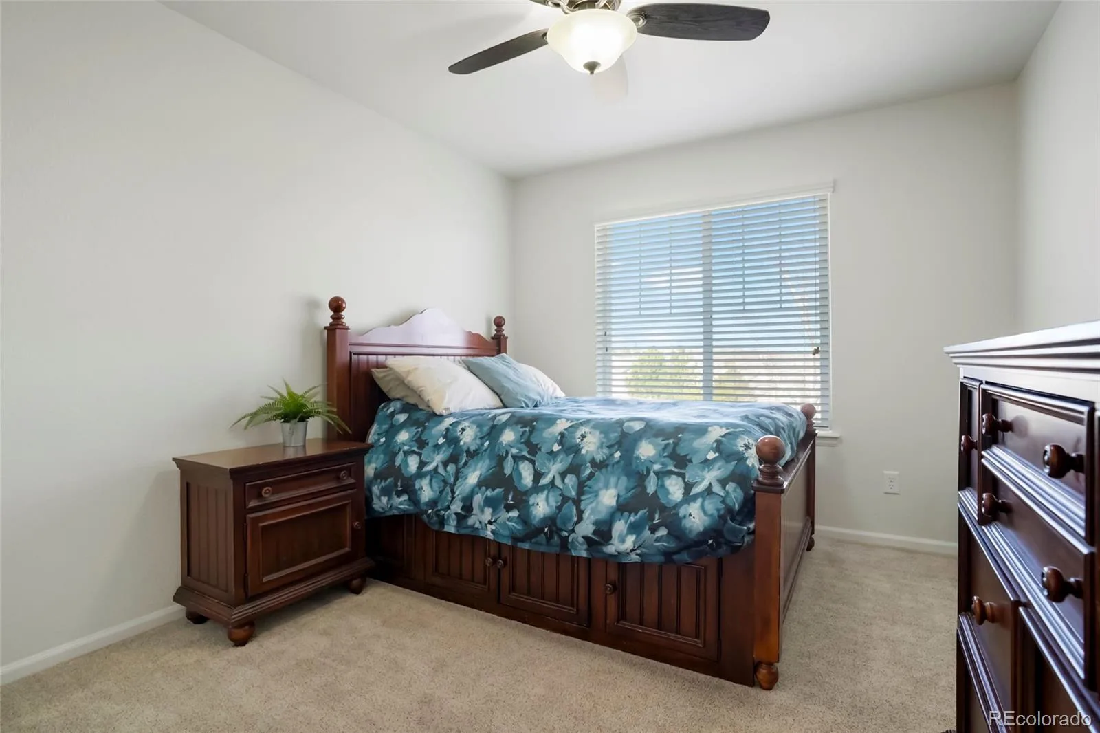 3248 Mccracken Lane Castle Rock CO 80104 | MLS #REC3027023 07012026043521 1600 20