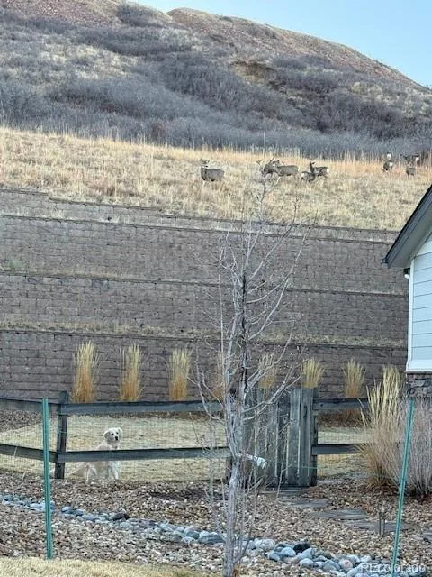 3248 Mccracken Lane Castle Rock CO 80104 | MLS #REC3027023 07012026043521 480 27
