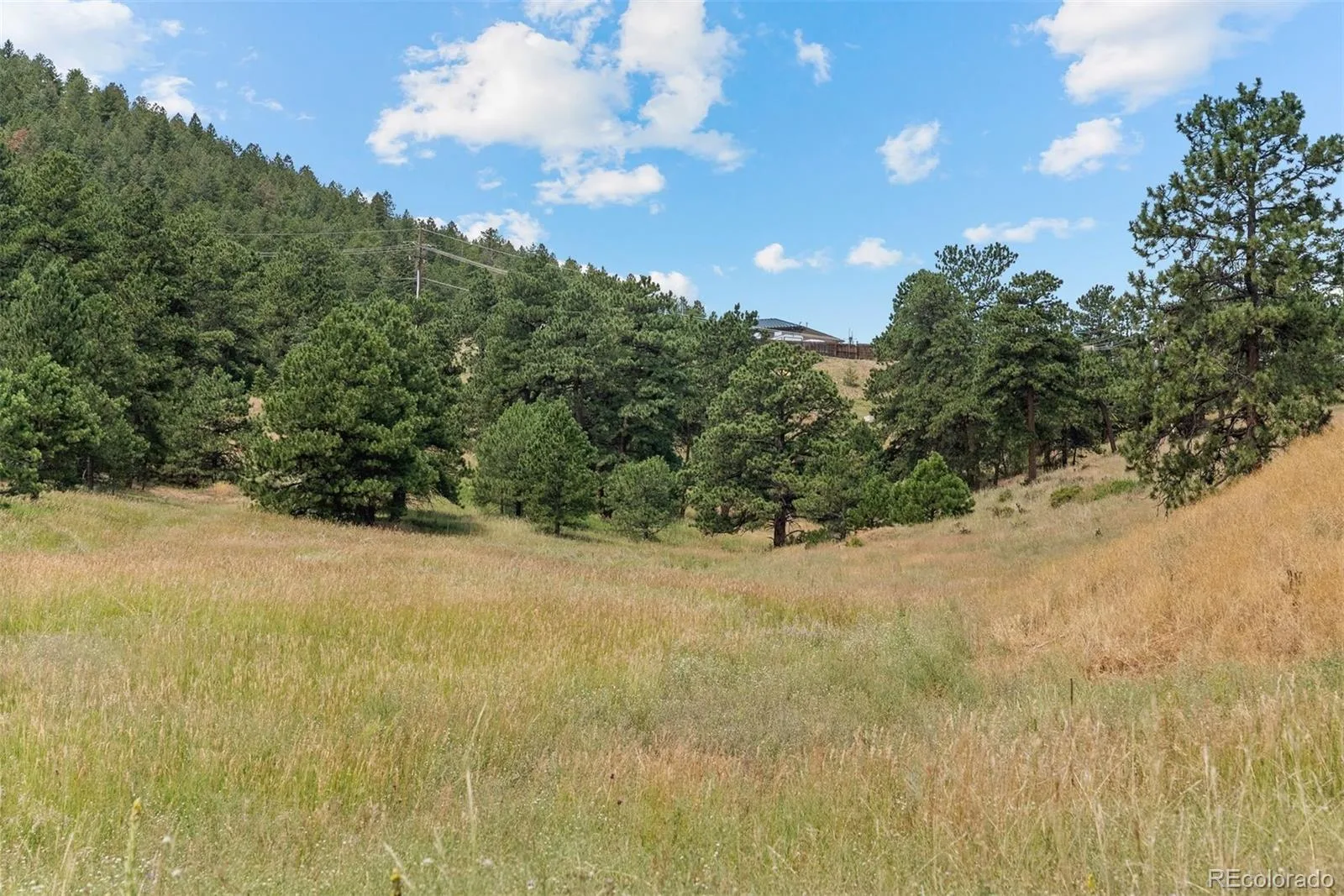 000 Hotel Way Golden CO 80401 | MLS #REC3034147 08262026191802 1600 10