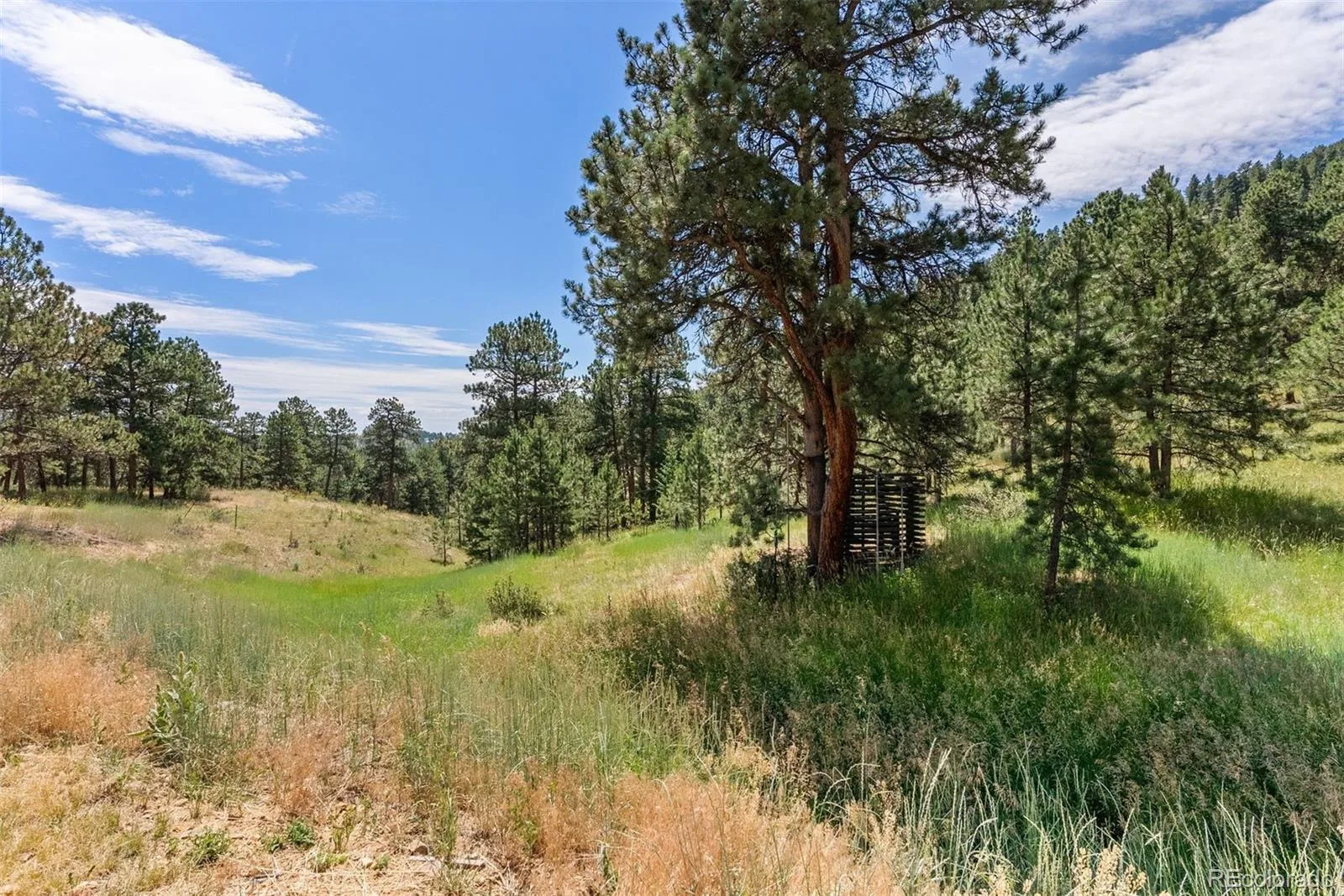 000 Hotel Way Golden CO 80401 | MLS #REC3034147 08262026191802 1600 13
