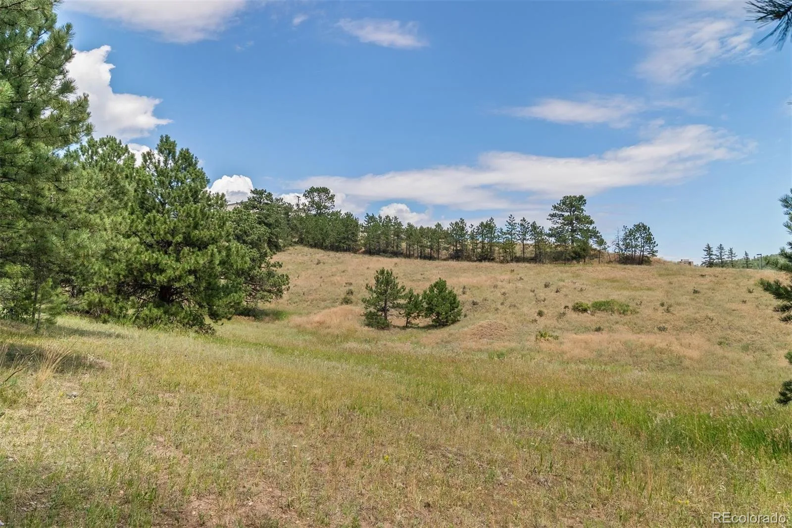000 Hotel Way Golden CO 80401 | MLS #REC3034147 08262026191802 1600 20