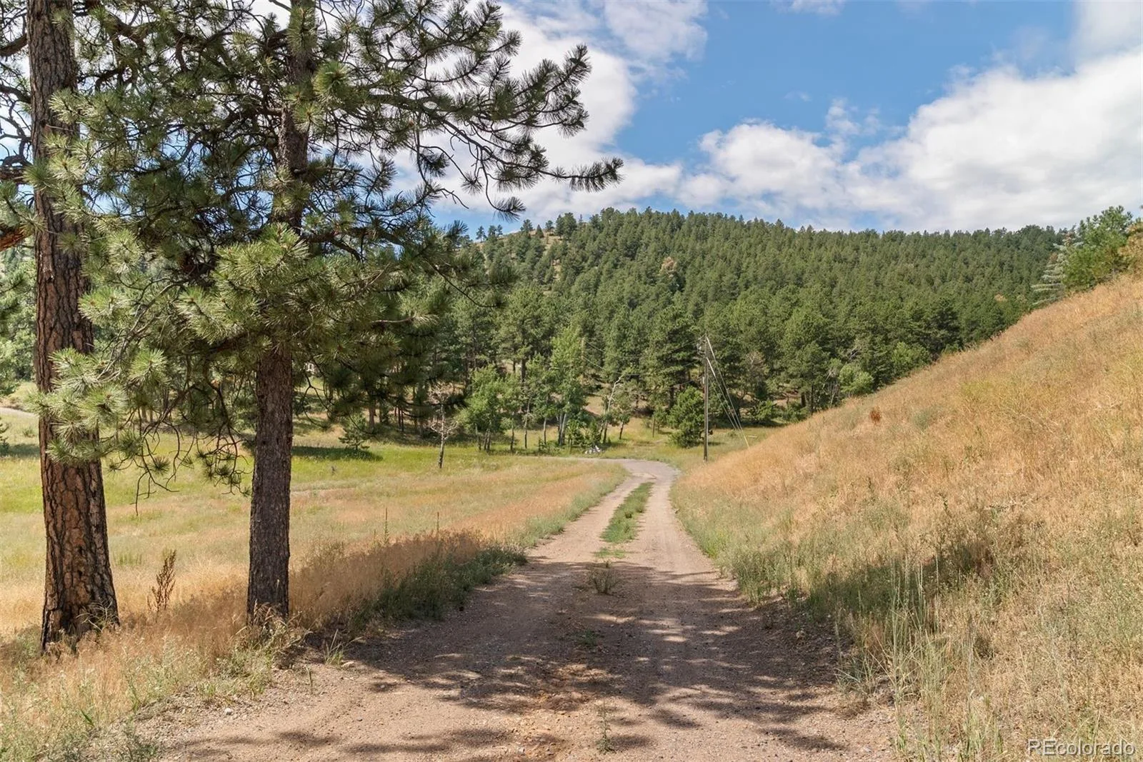 000 Hotel Way Golden CO 80401 | MLS #REC3034147 08262026191802 1600 9
