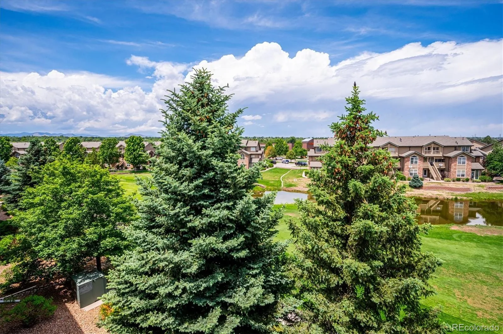 2896 W Riverwalk Circle #A314 Littleton CO 80123 | MLS #REC3039575 06032026224237 1600 24