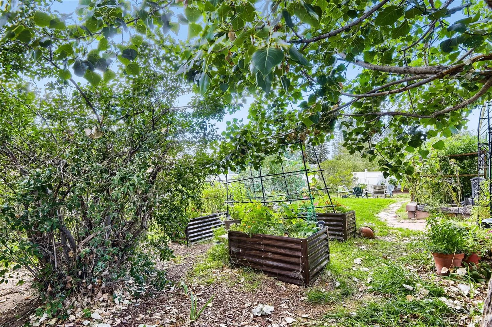 1547 S Uvalda Street Aurora CO 80012 | MLS #REC3045004 08302026203445 1600 25