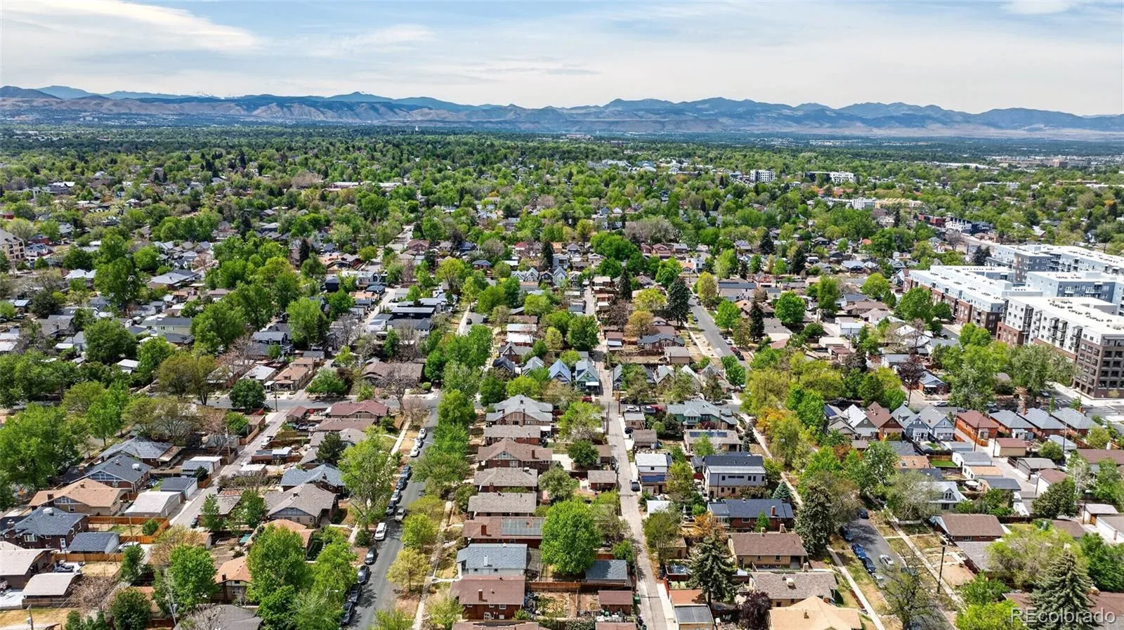 3351 W 36th Avenue Denver CO 80211 MLS #REC3051131 05052026132556 1600 43