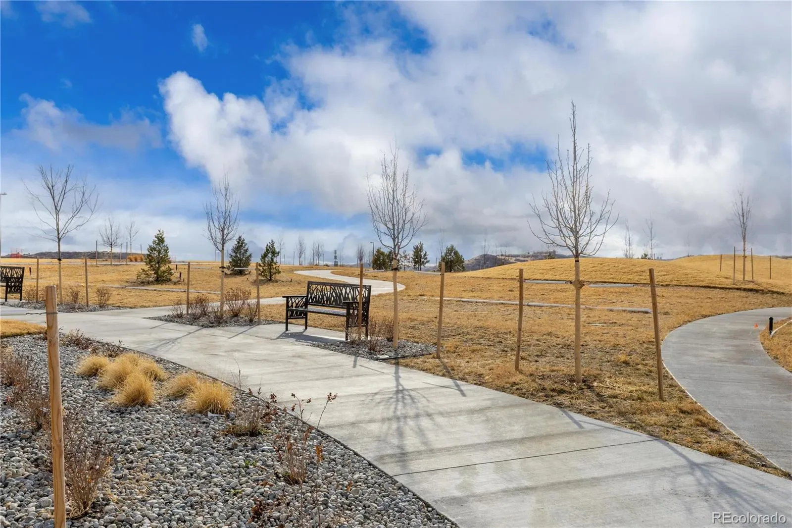 16772 Dry Camp Drive Parker CO 80134 MLS #REC3053551 03122026235900 1600 44
