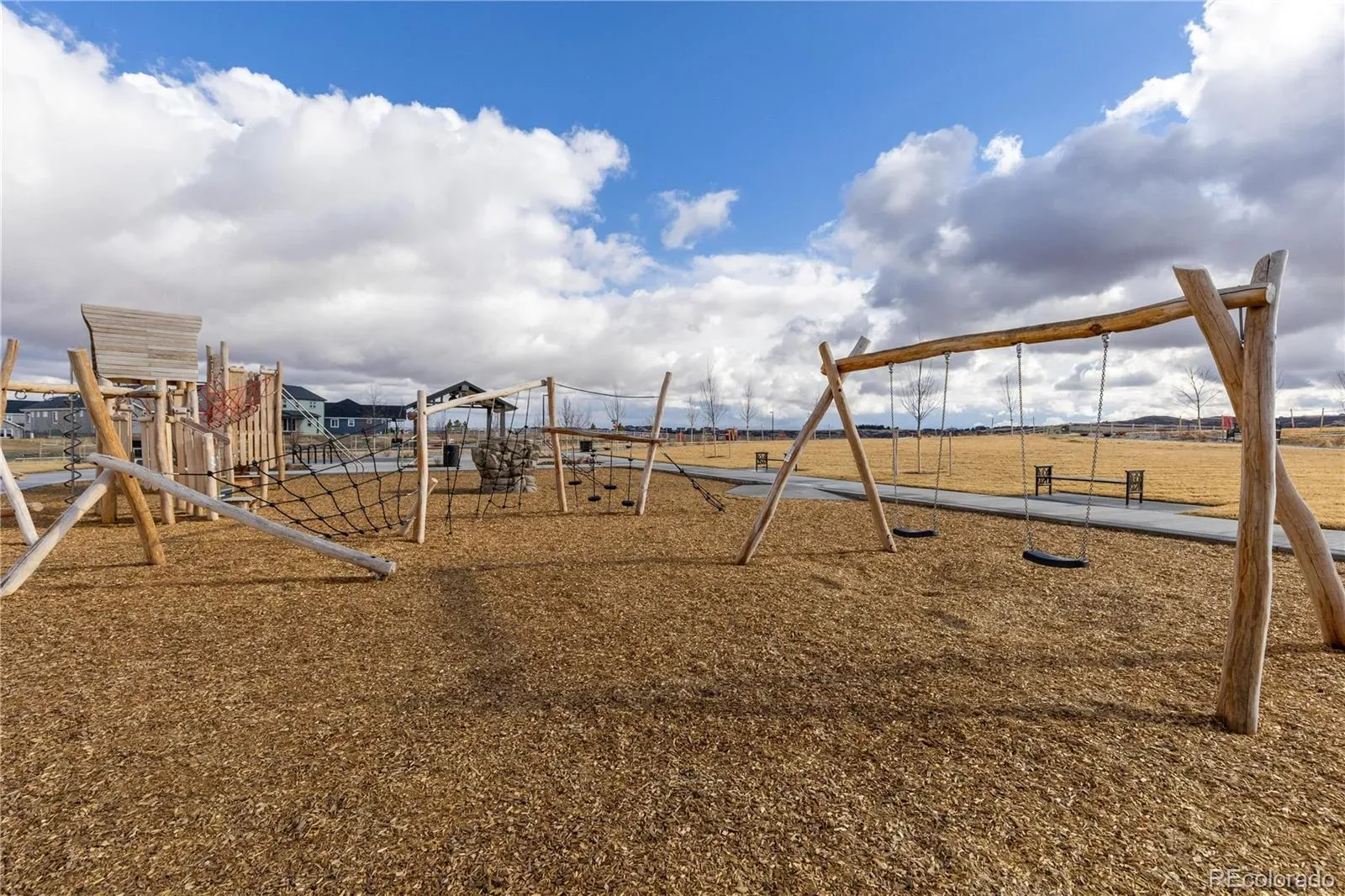 16772 Dry Camp Drive Parker CO 80134 MLS #REC3053551 03122026235900 1600 45