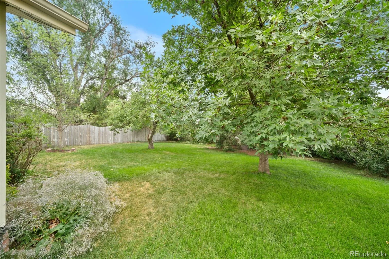 7700 Stuart Street Westminster CO 80030 | MLS #REC3055699 08142026144723 1600 24