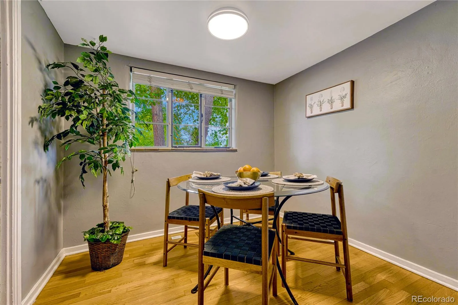 1103 Kearney Street Denver CO 80220 MLS #REC3058307 05232026092744 1600 18