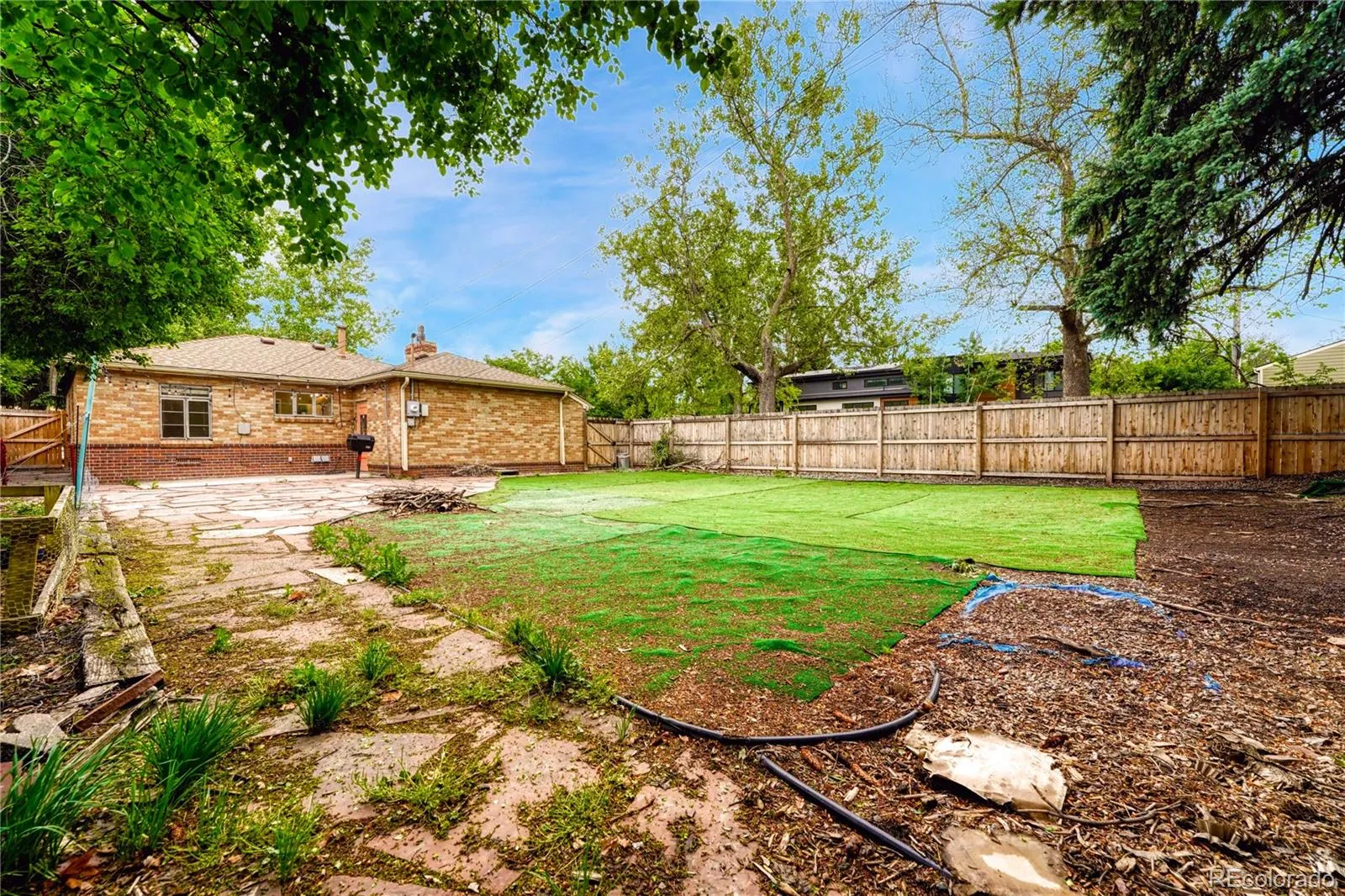 1103 Kearney Street Denver CO 80220 MLS #REC3058307 05232026092744 1600 28