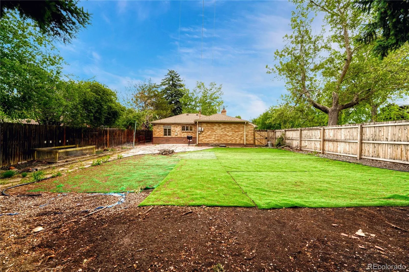 1103 Kearney Street Denver CO 80220 MLS #REC3058307 05232026092744 1600 29