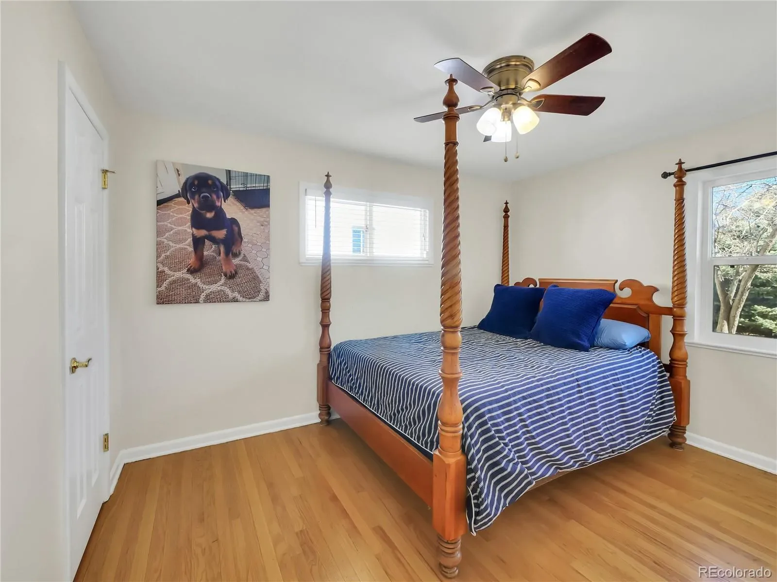 03142026012346 1600 12