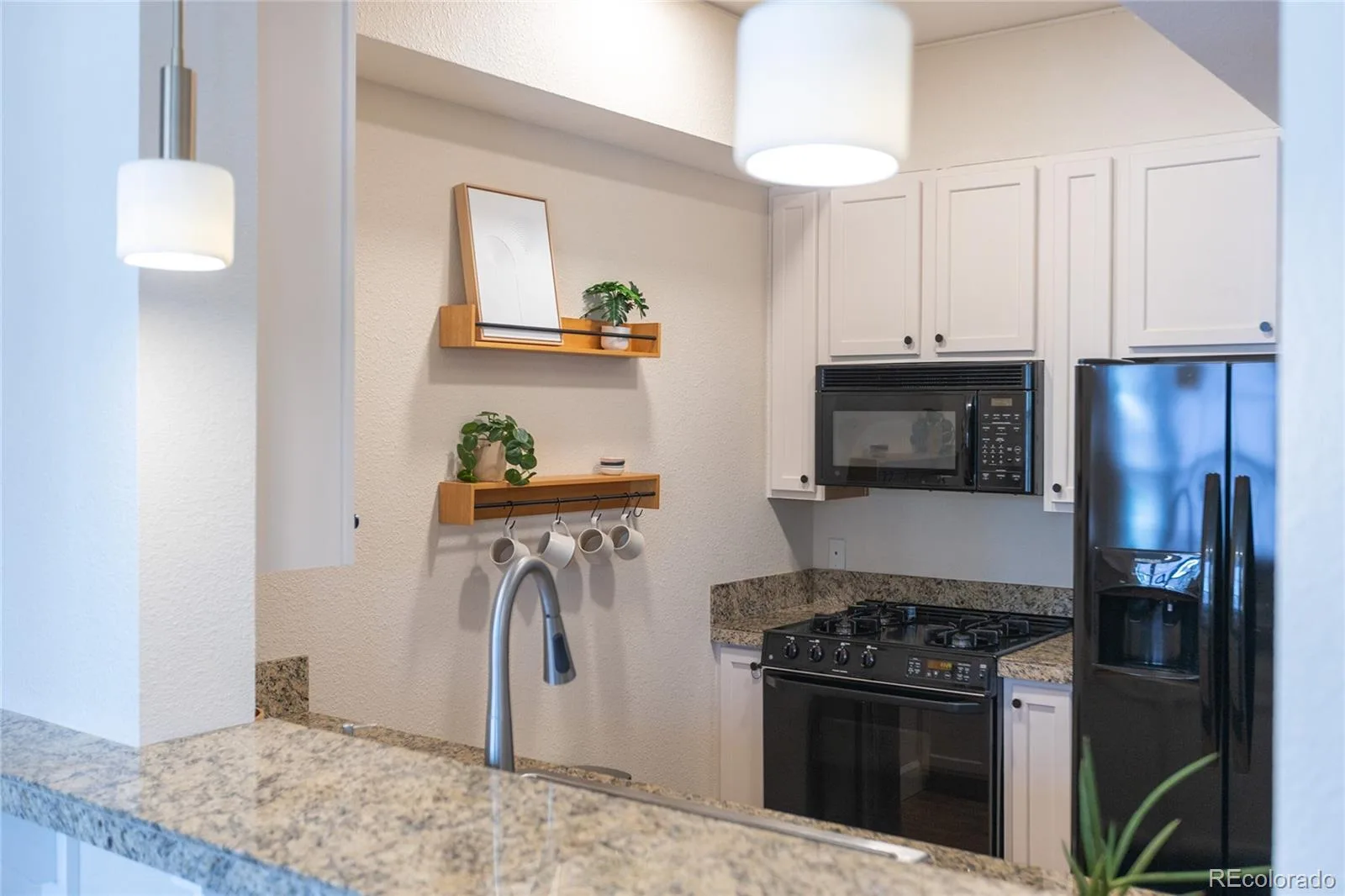 1699 N Downing Street #106 Denver CO 80218 MLS #REC3062035 06202026161047 1600 19