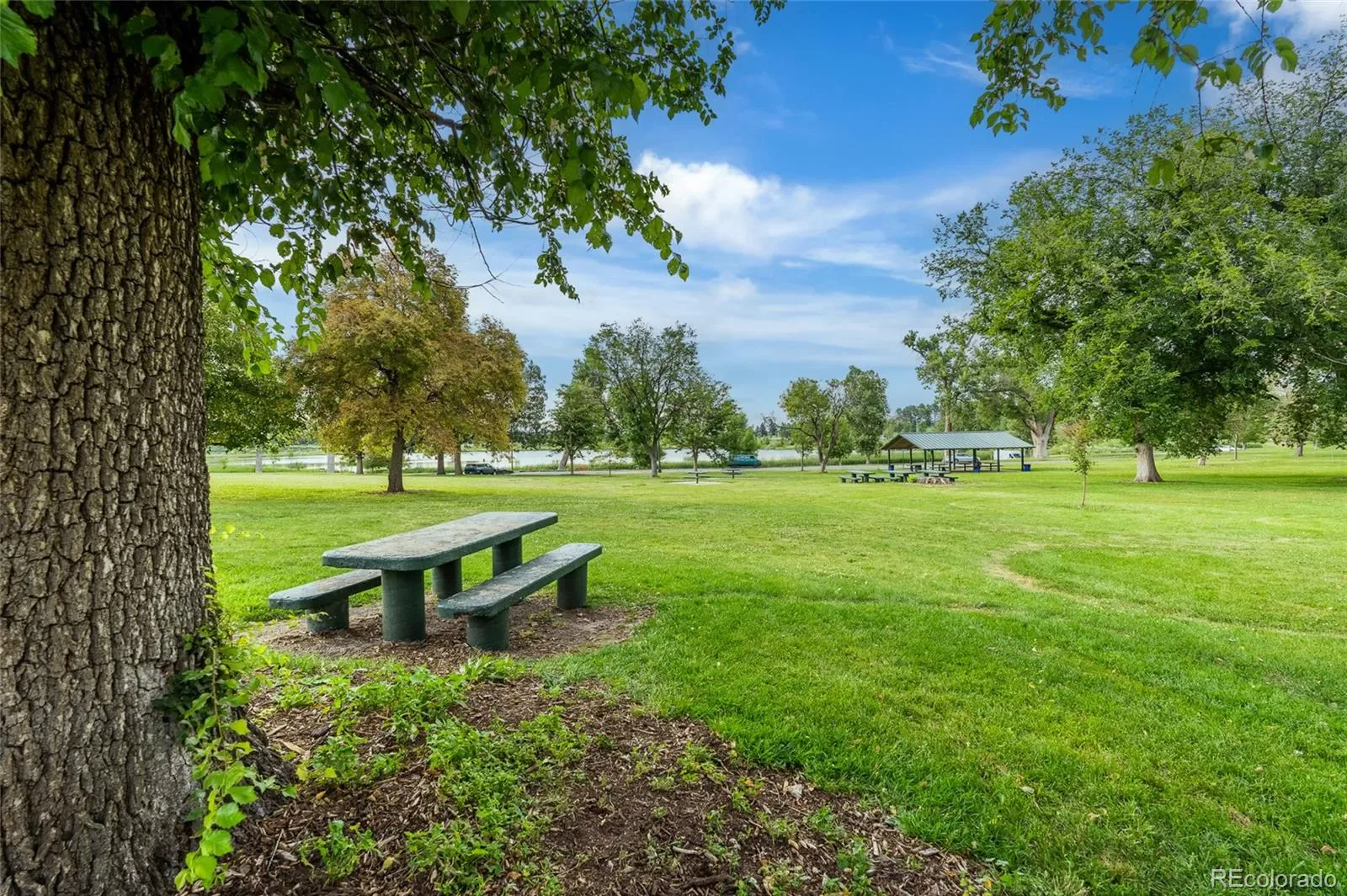 03232026011906 1600 49