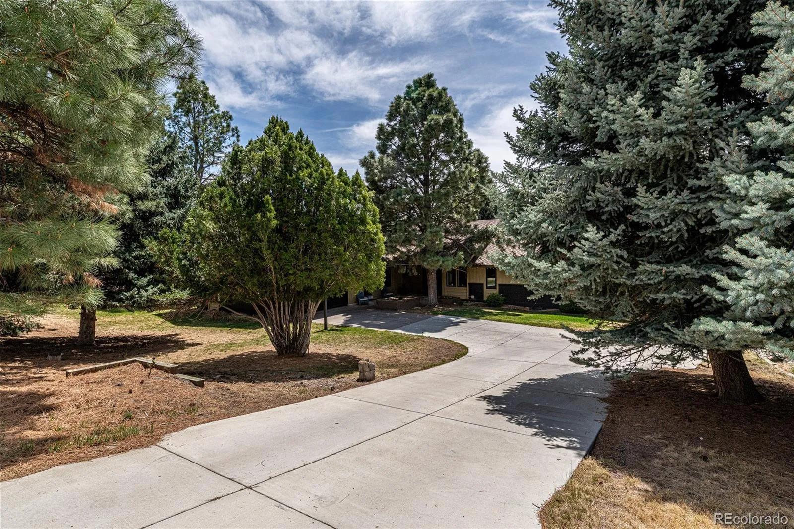 8250 Carriage Lane Parker CO 80134 MLS #REC3065783 05232026092751 1600 0