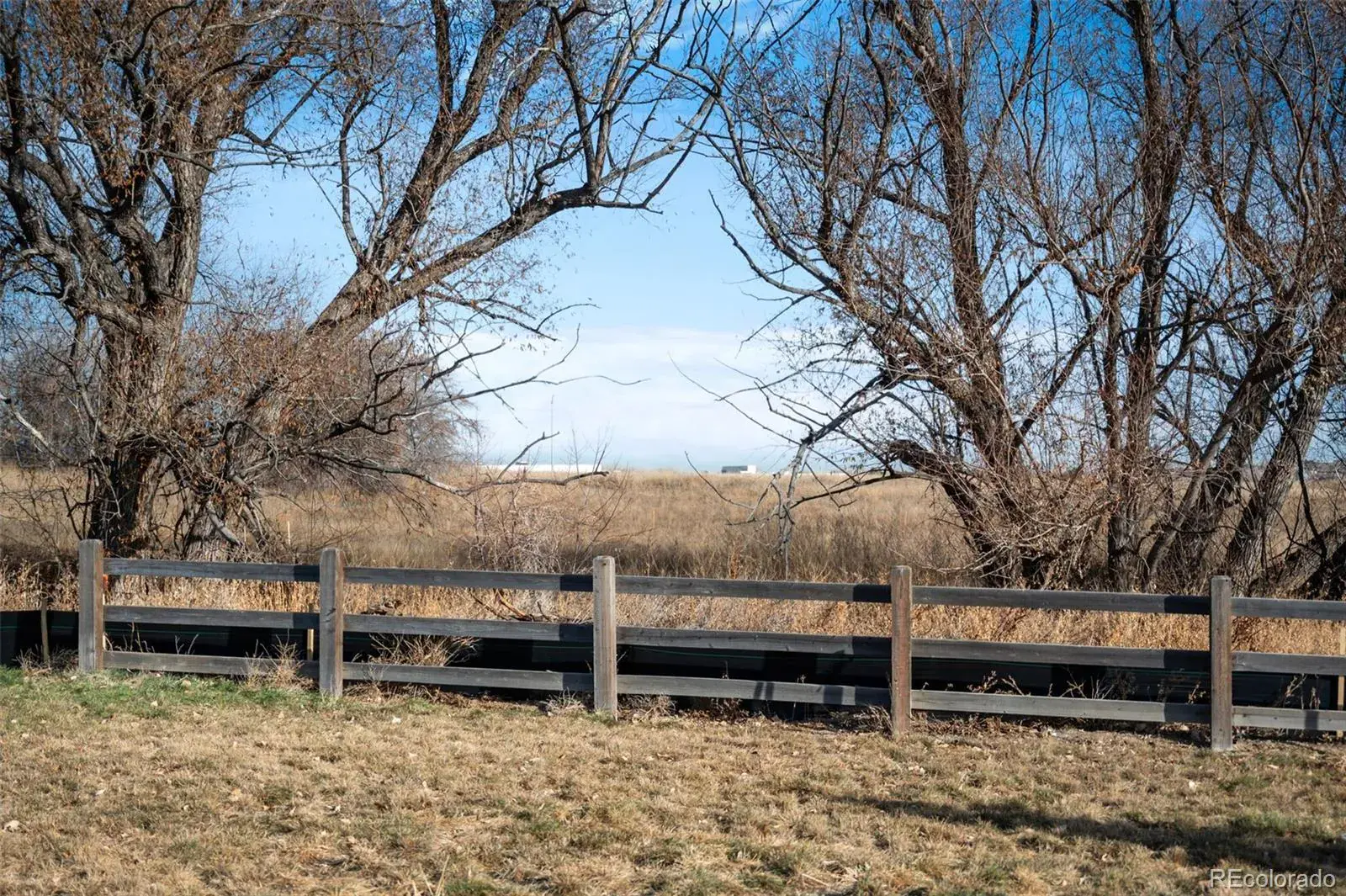 12380 Irma Drive Thornton CO 80241 | MLS #REC3065882 12052025042046 1600 15