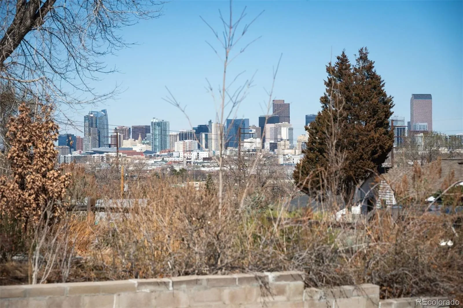 03132026062550 1600 7