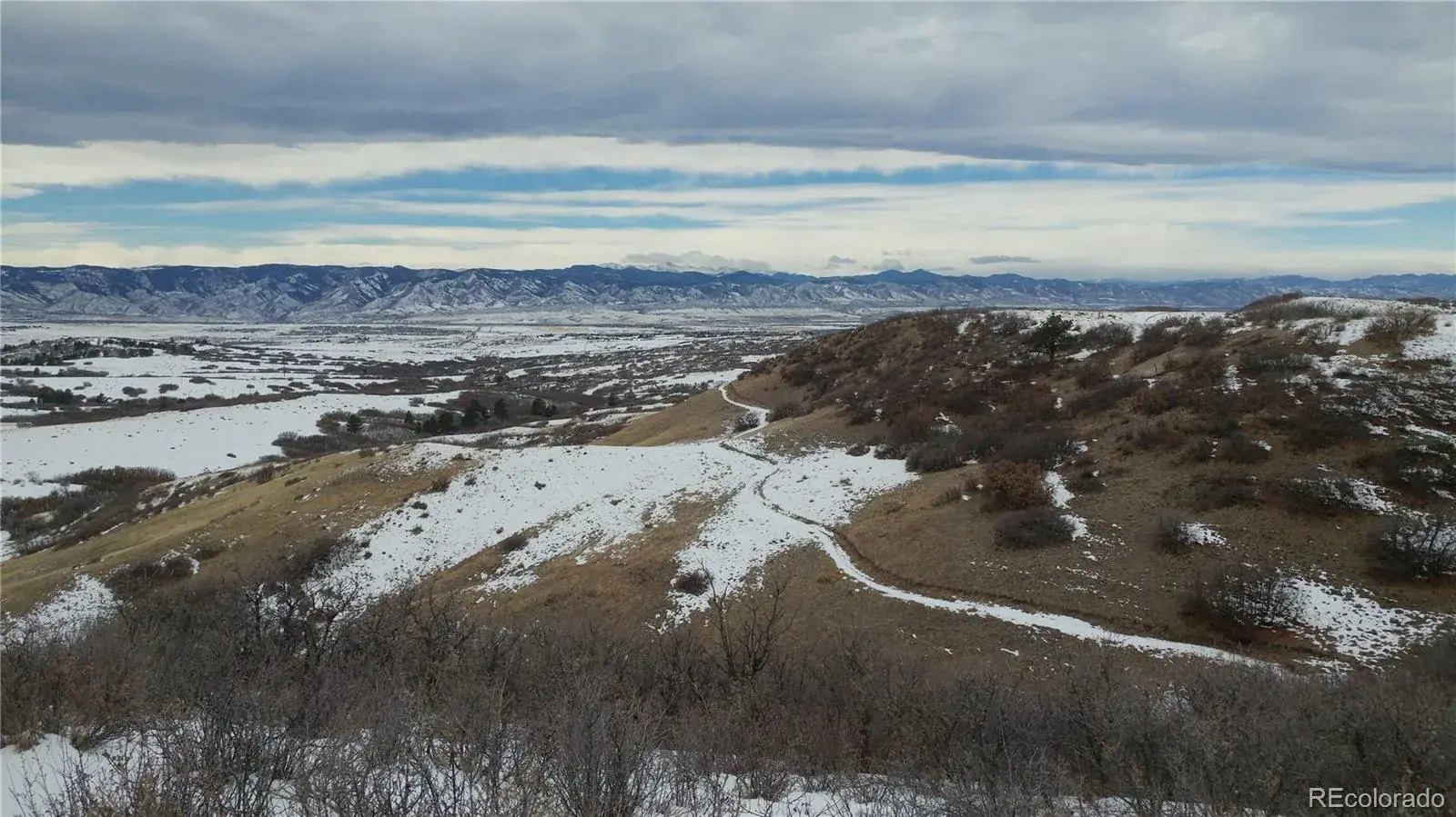 665 W Burgundy Street #A Highlands Ranch CO 80129 | MLS #REC3076077 03042026191449 1600 35